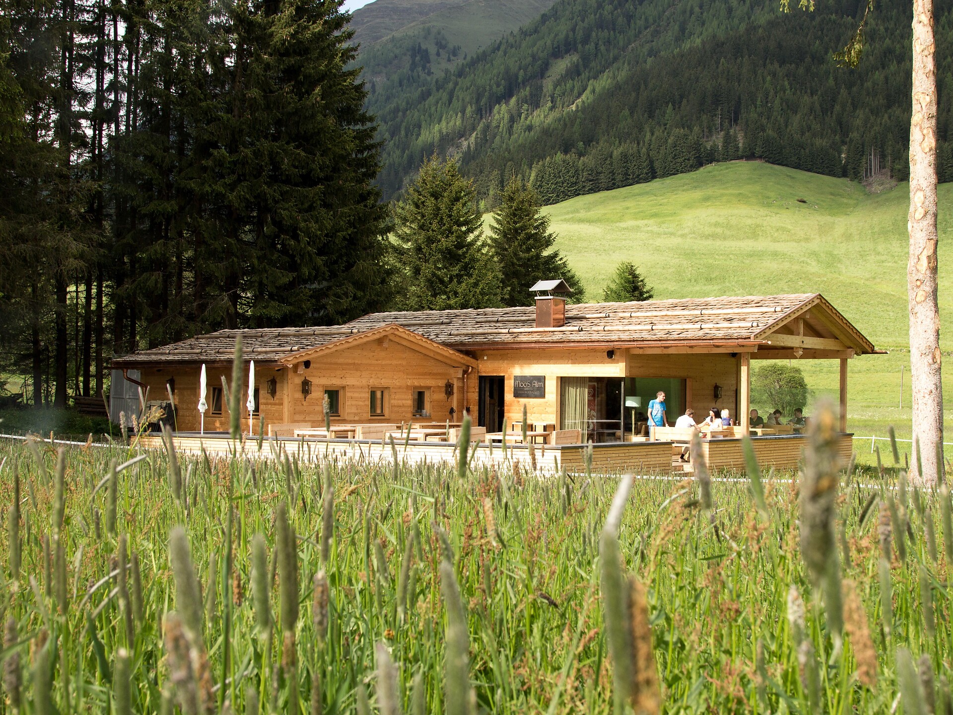 Hut Moos Alm