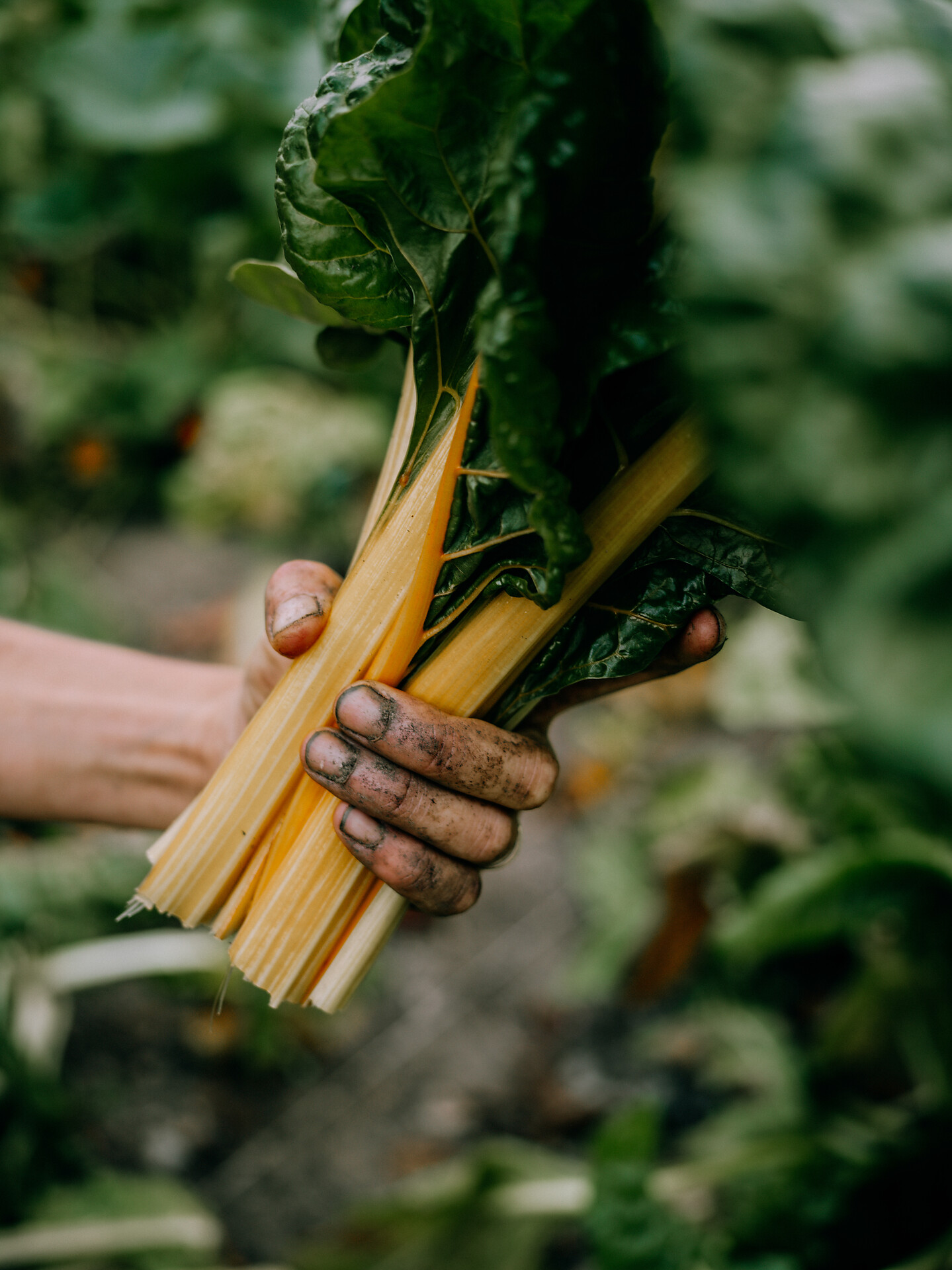 Naturhotel Lüsnerhof - Brixen/Bressanone and environs - #3 - suedtirol.info