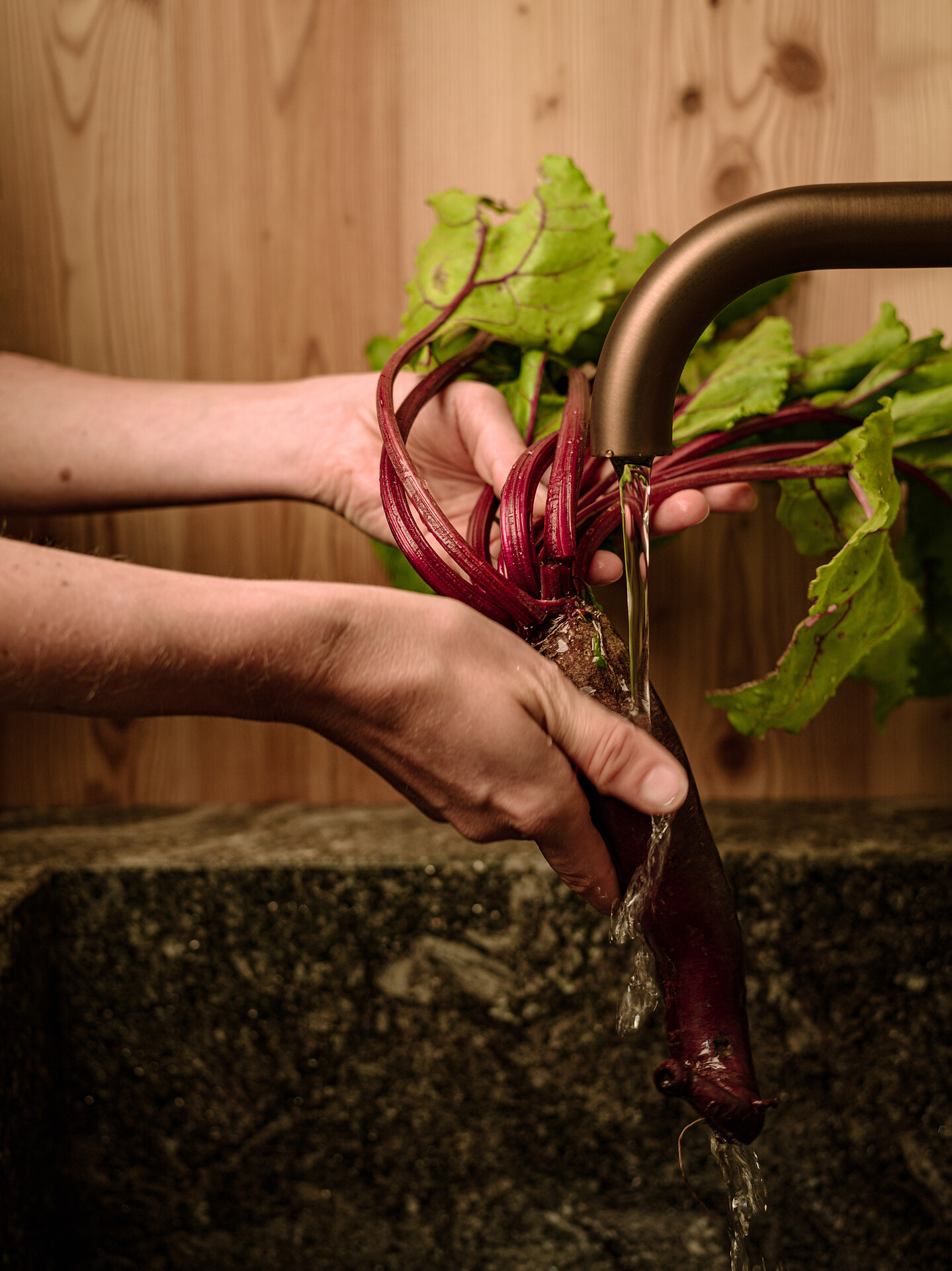 Naturhotel Lüsnerhof - Brixen/Bressanone and environs - #2 - suedtirol.info