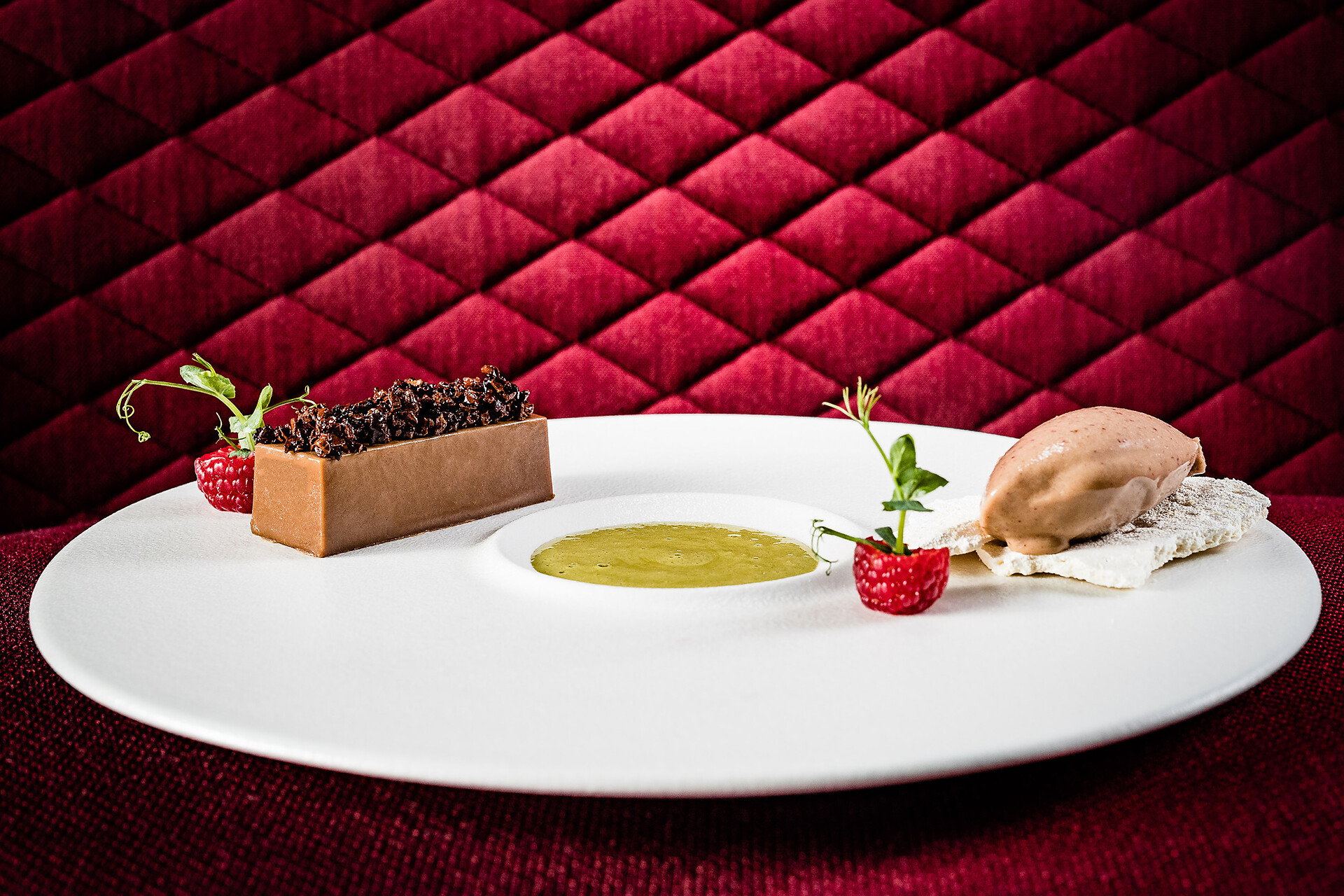Chocolate ingot with plum ice cream