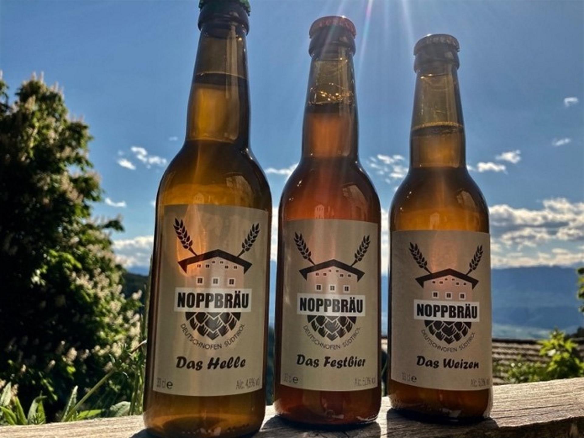 Noppbräu Deutschnofen/Nova Ponente 2 suedtirol.info