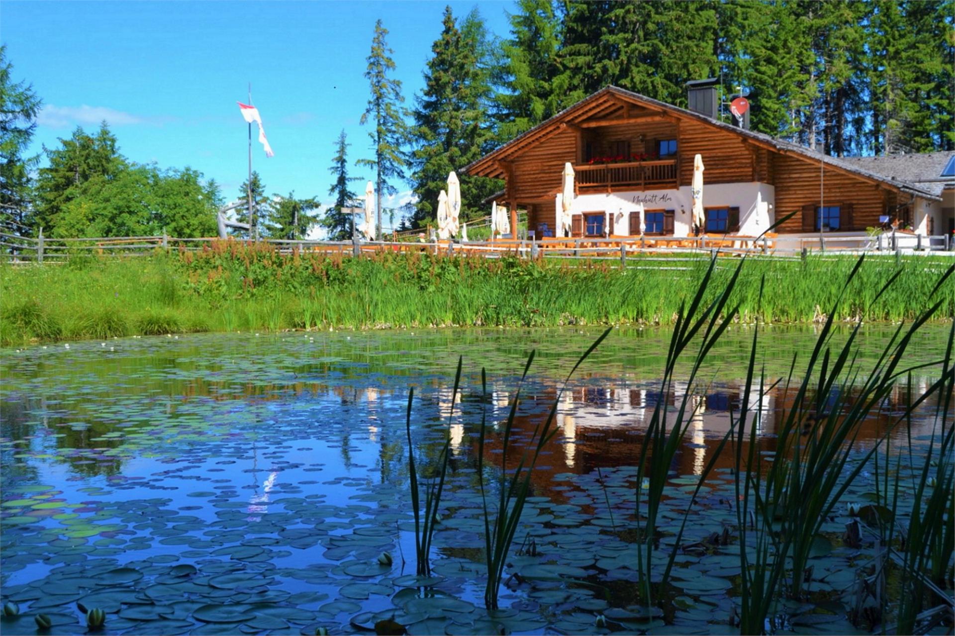 Neuhütt Alm Deutschnofen 1 suedtirol.info