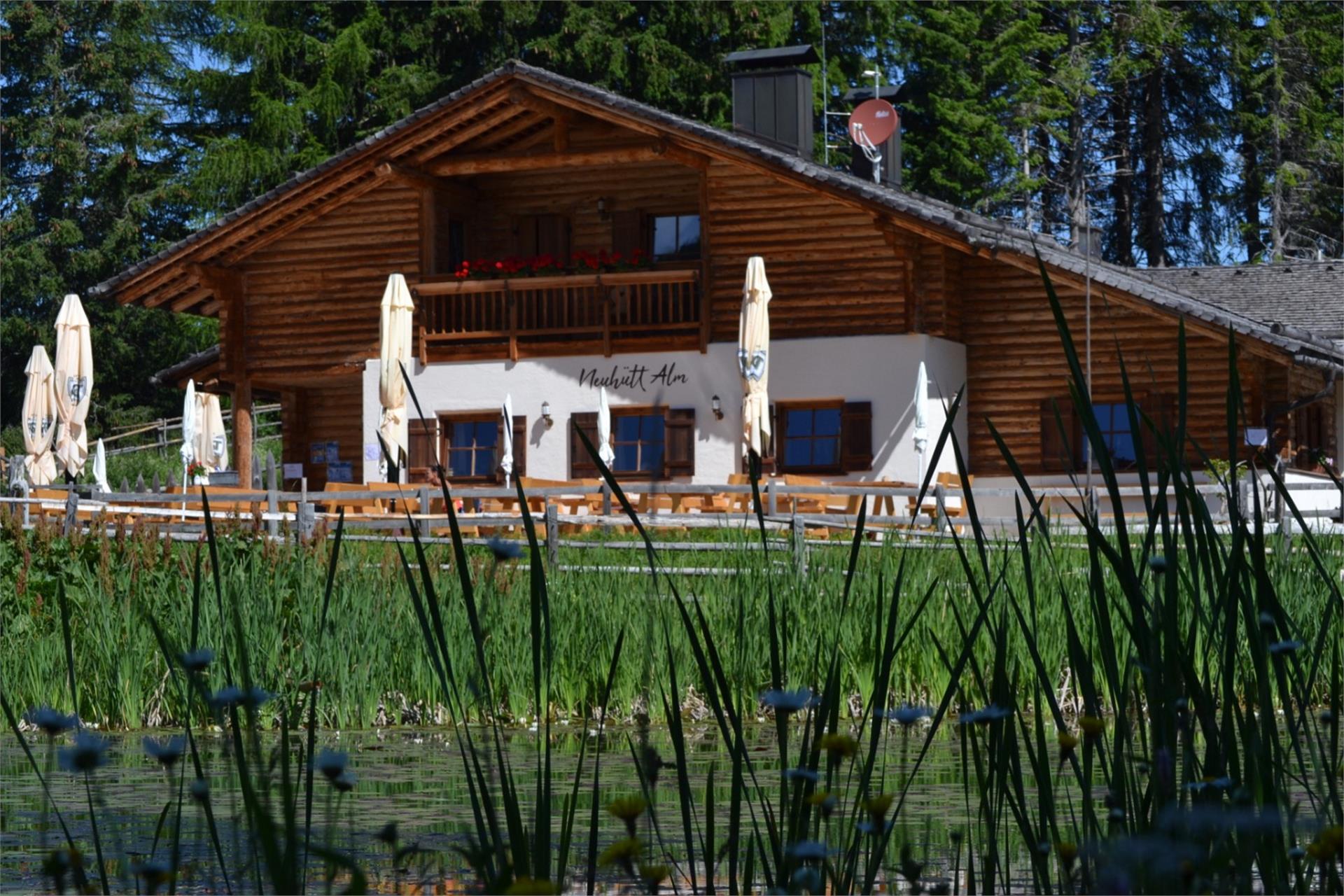 Neuhütt Alm Deutschnofen 5 suedtirol.info