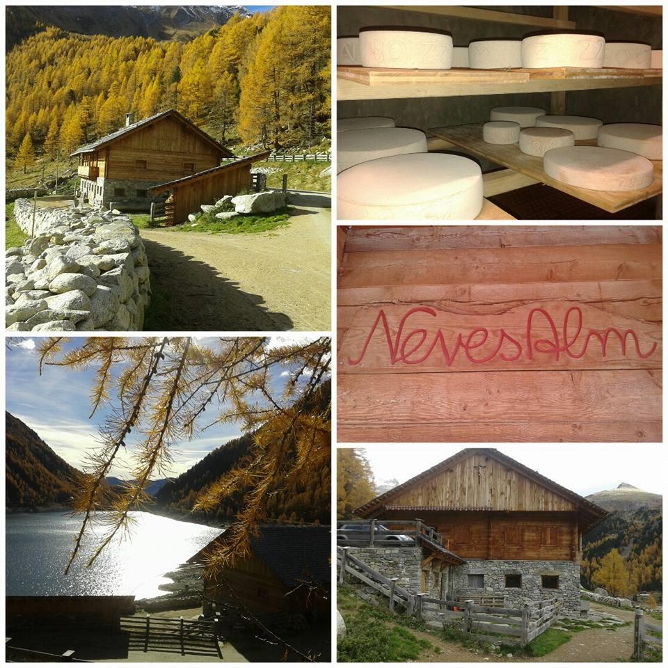 Neves Alm Mühlwald 3 suedtirol.info