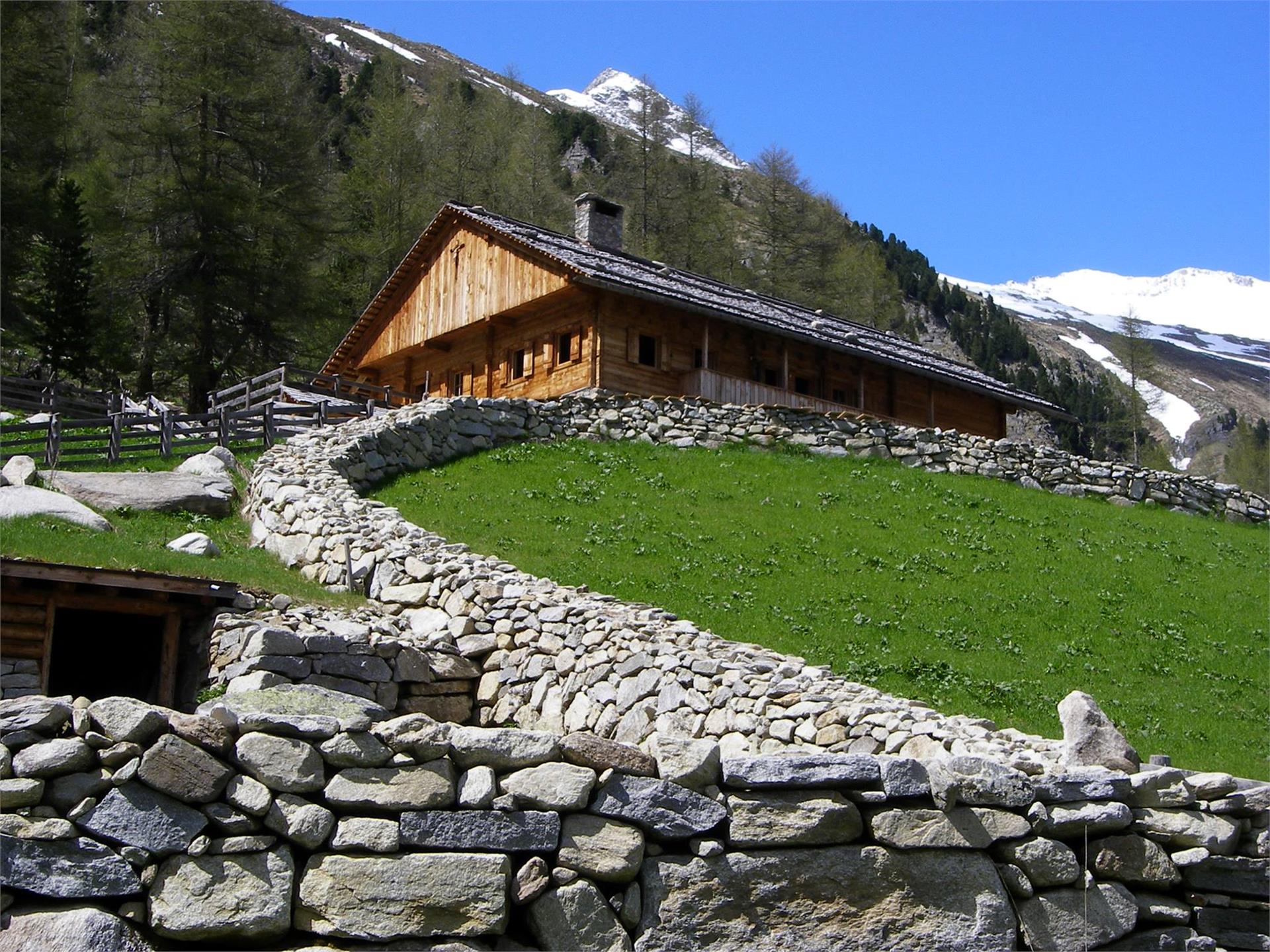 Neves Alm Mühlwald 5 suedtirol.info
