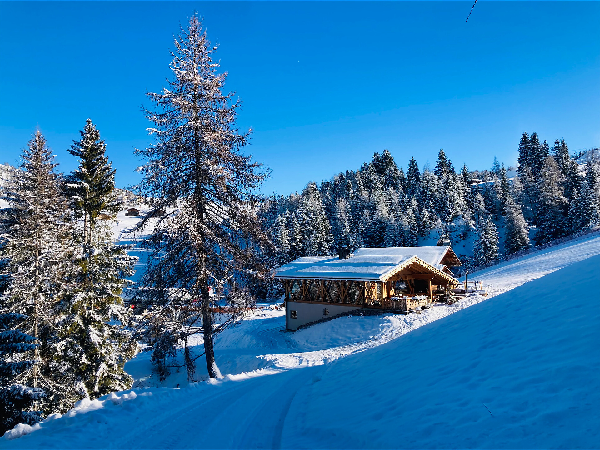 Olmstodl - Dolomites Region Seiser Alm - #1 - suedtirol.info