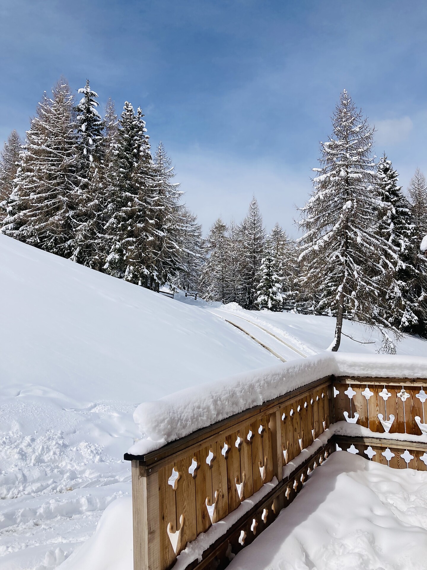 winter