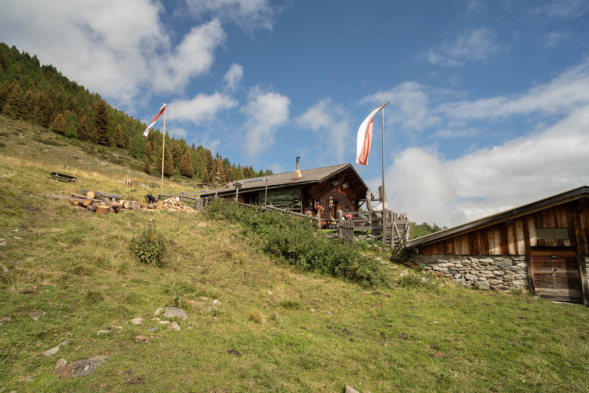 Obere Laaser Alm Alp Laas/Lasa 2 suedtirol.info