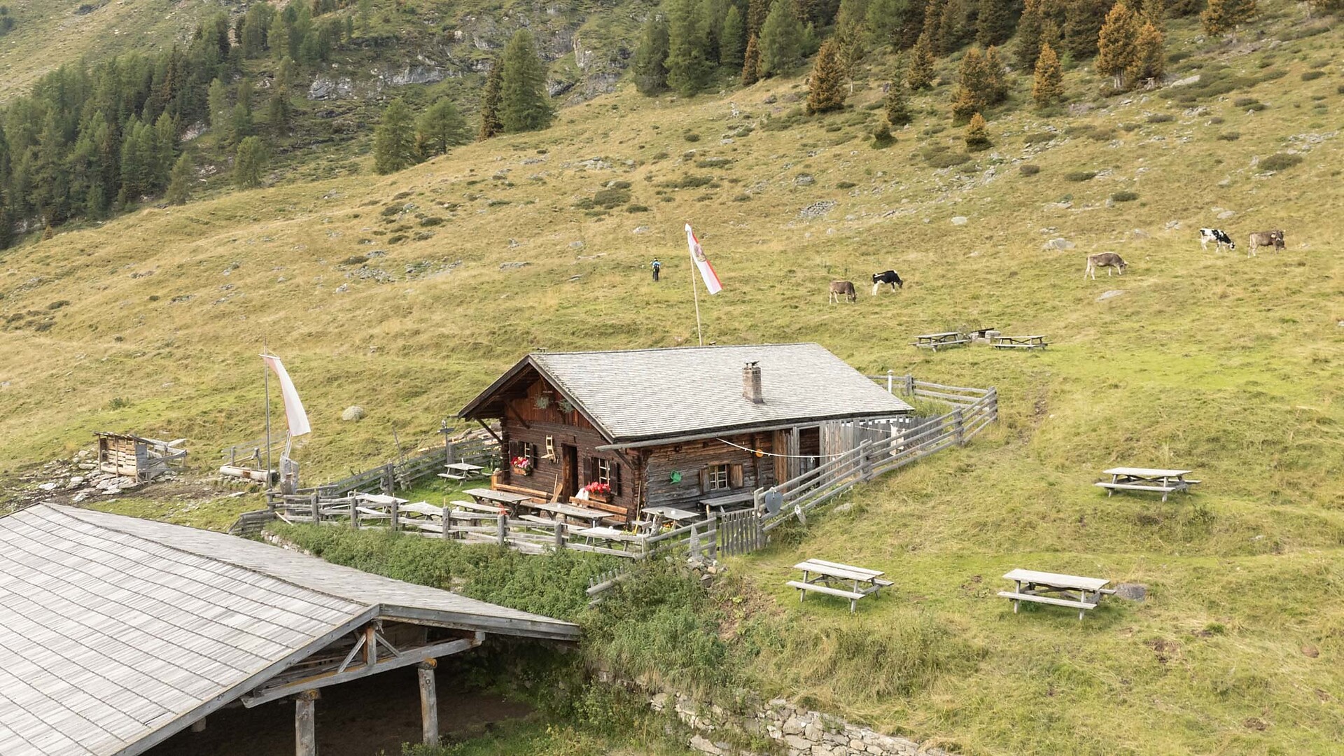 Obere Laaser Alm Alp Laas/Lasa 3 suedtirol.info