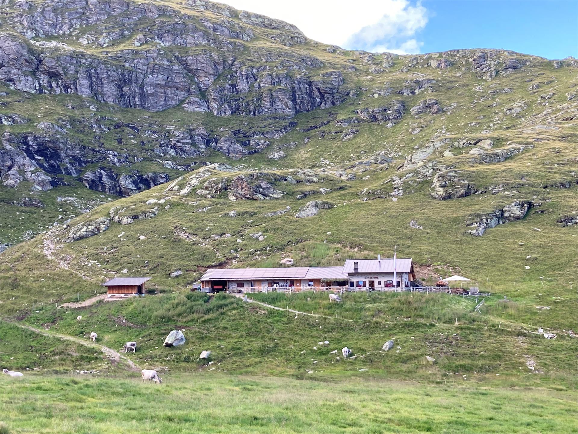Malga Obisell Alm Rifiano 3 suedtirol.info