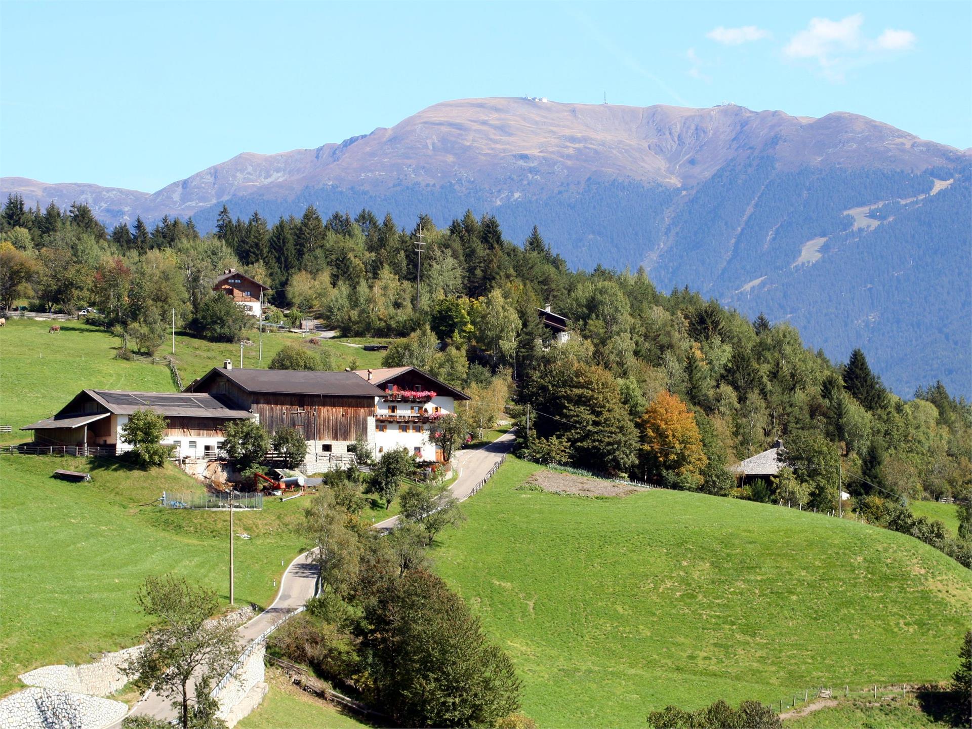 Obermoserhof Feldthurns 1 suedtirol.info