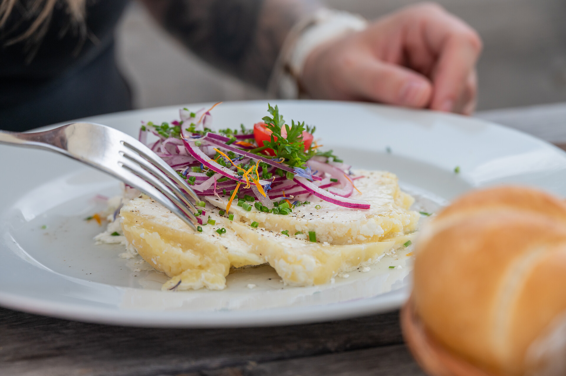 Alpine refuge Oberegger - Dolomites Region Kronplatz/Plan de Corones - #3 - suedtirol.info