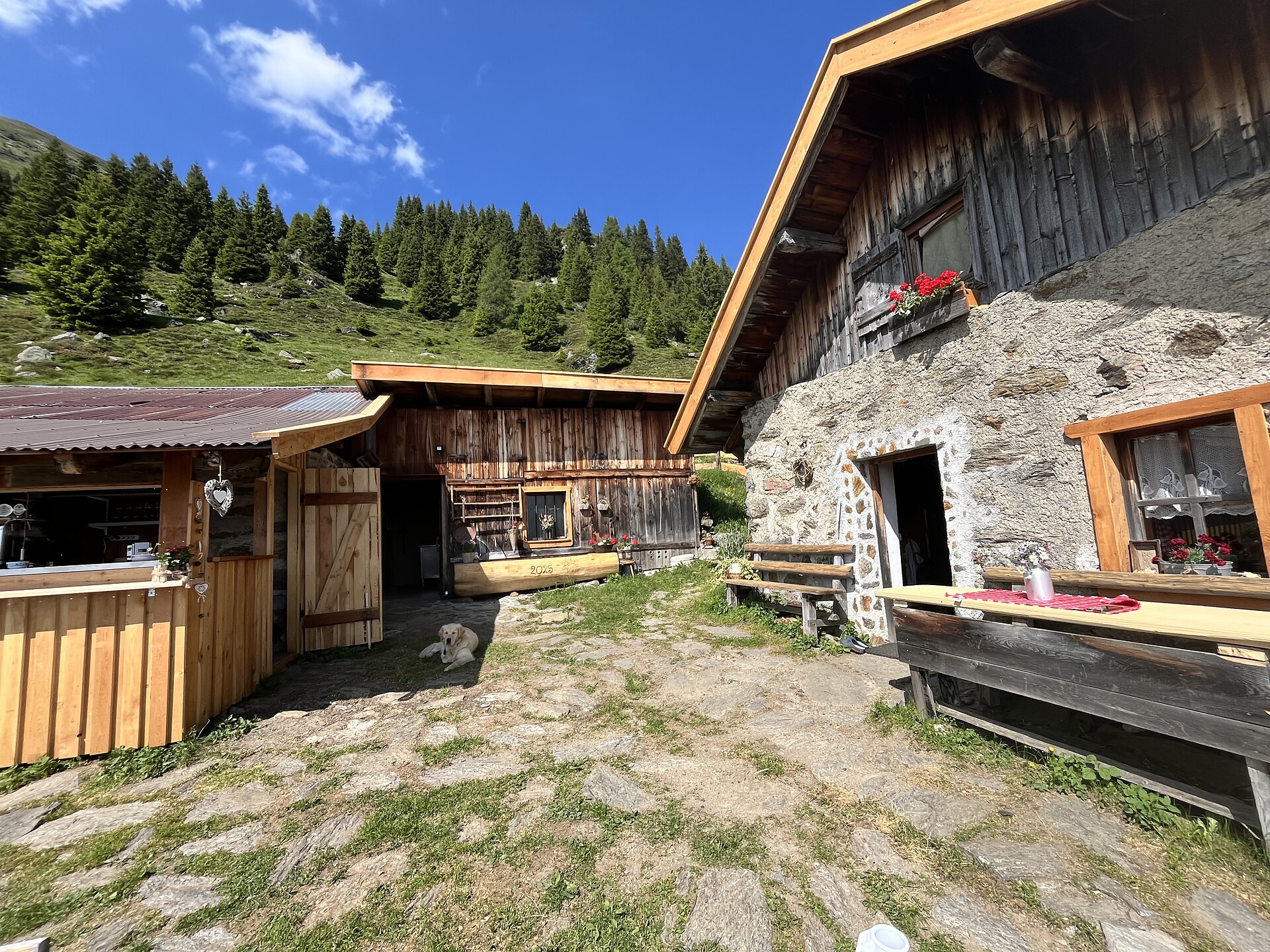 Ochsenalm - Sterzing und Umgebung - #2 - suedtirol.info