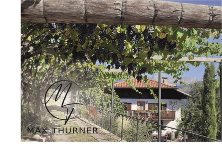 Max Thurner - Perlhof Bolzano/Bozen 1 suedtirol.info
