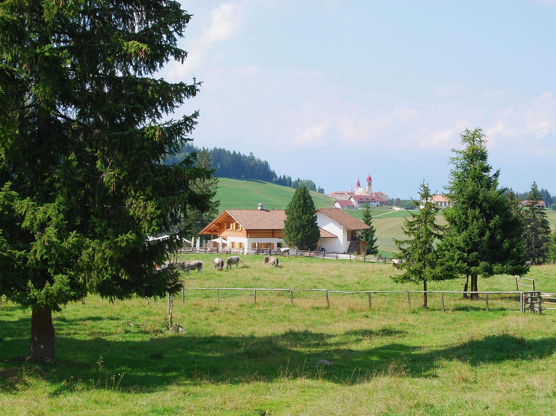 Malga Monte San Pietro