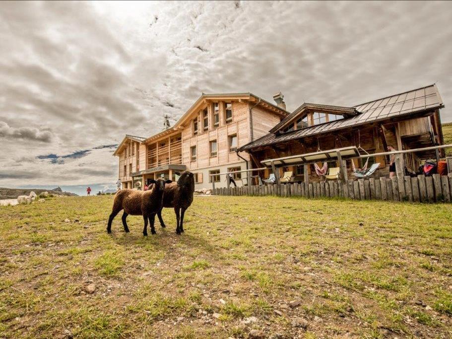 Sasso Piatto Kastelruth/Castelrotto 1 suedtirol.info