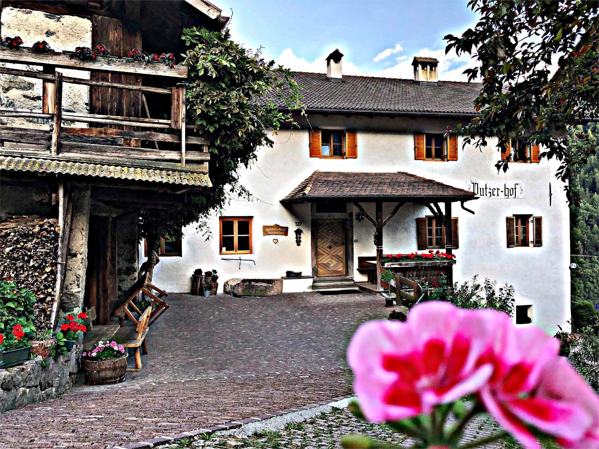 Putzerhof Lajen 1 suedtirol.info