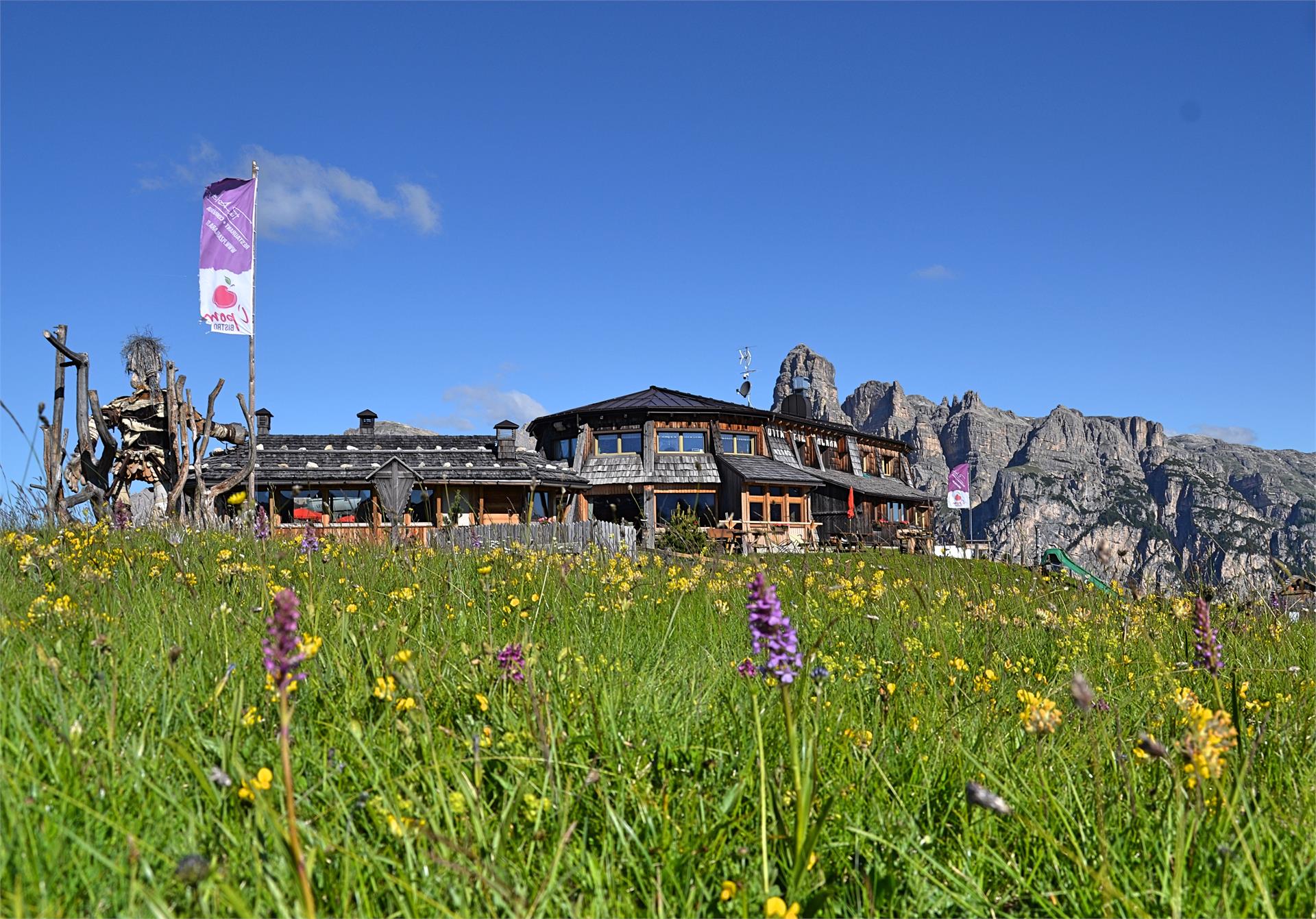 Piz Arlara Corvara 9 suedtirol.info