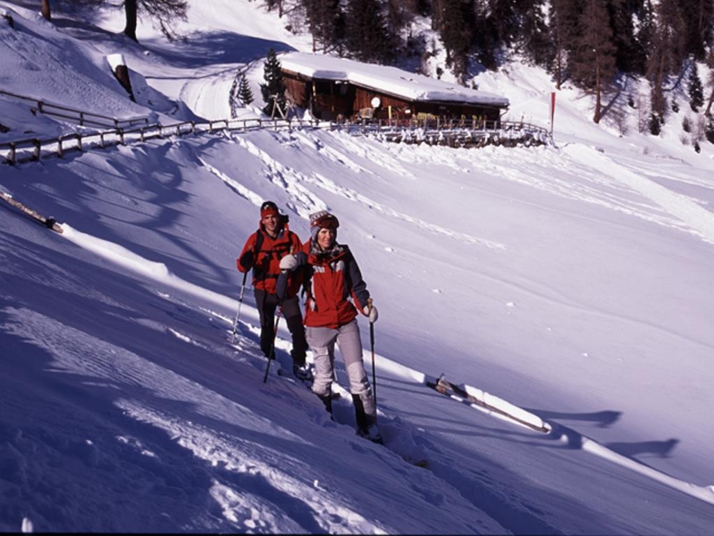 Pircher Alm Ahrntal 2 suedtirol.info