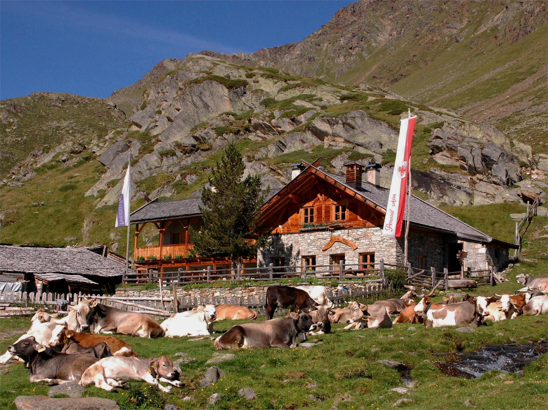 Penaud Alm Schnals/Senales 1 suedtirol.info