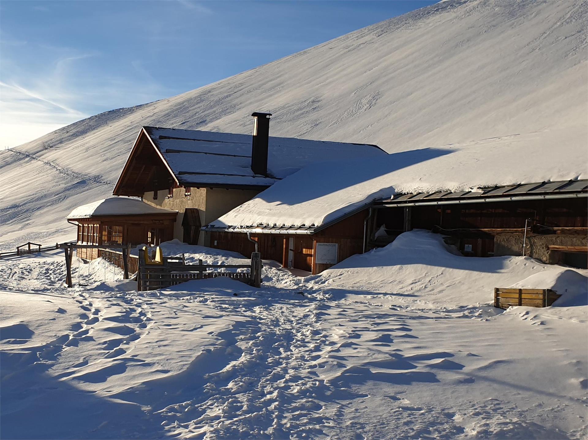 Malga Planol Malles 1 suedtirol.info