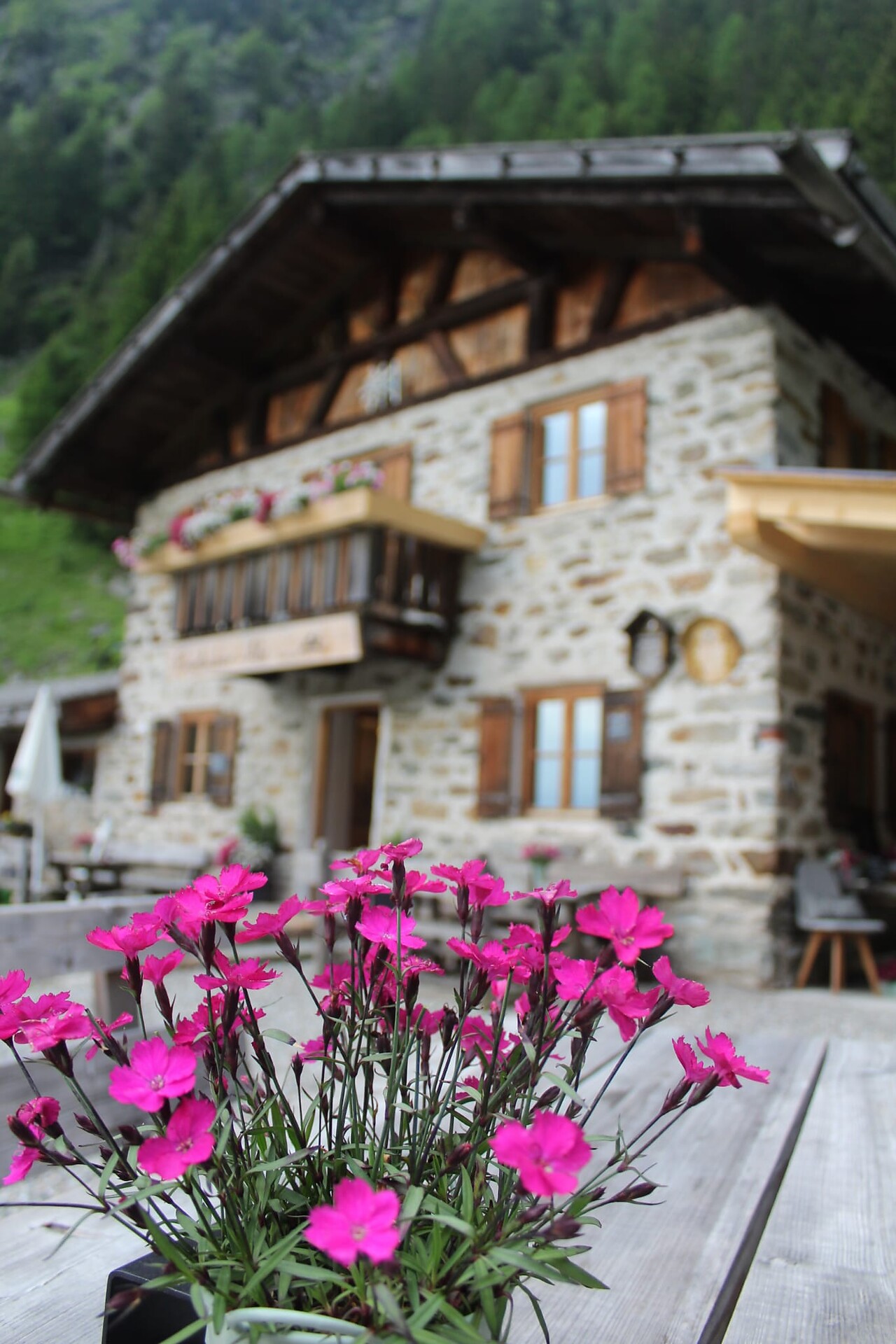 Prantacher Alm - Fartleis Alp - Meran/Merano and environs - #1 - suedtirol.info