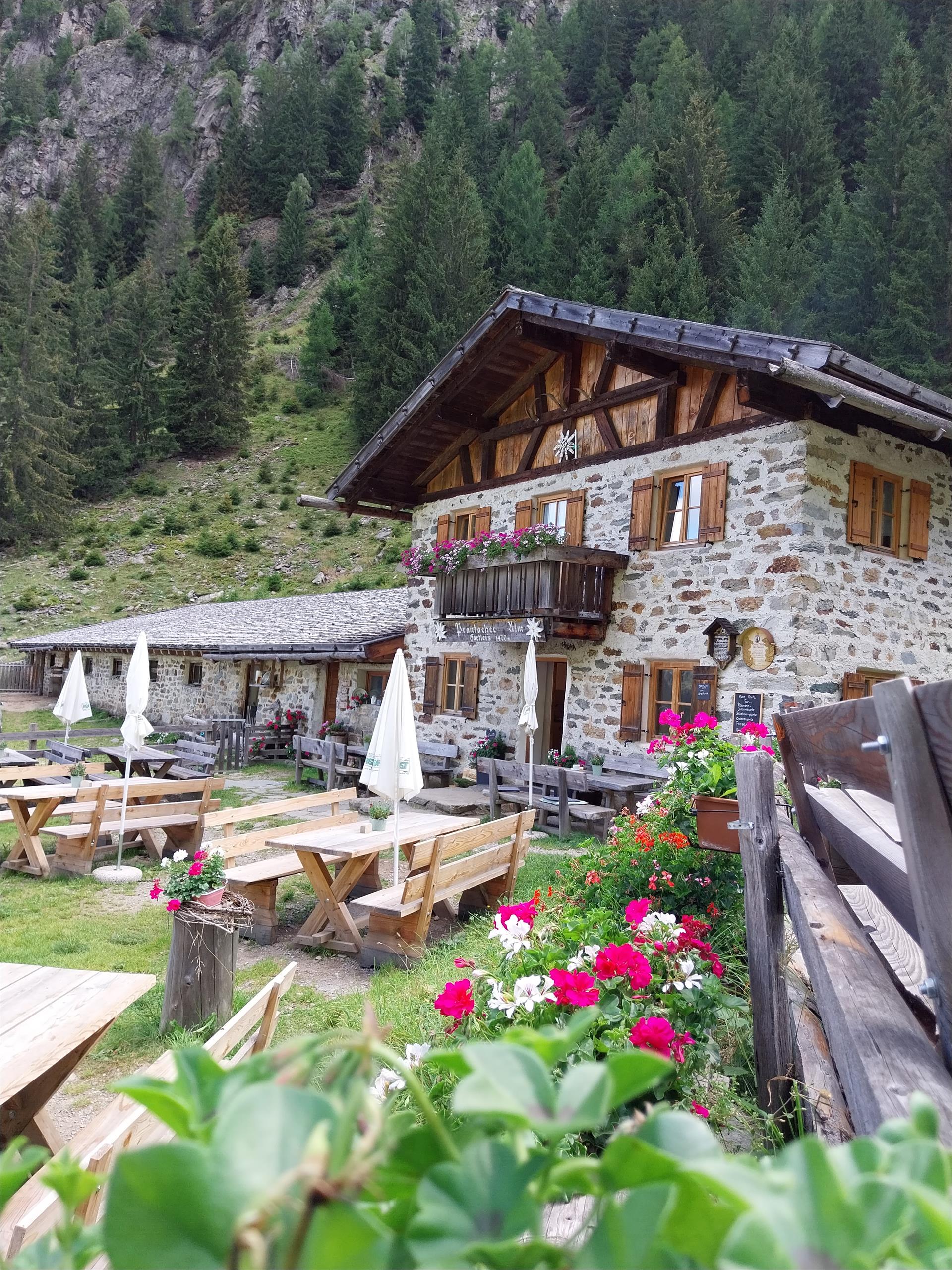 Prantacher Alm - Fartleis Alp St.Martin in Passeier/San Martino in Passiria 1 suedtirol.info