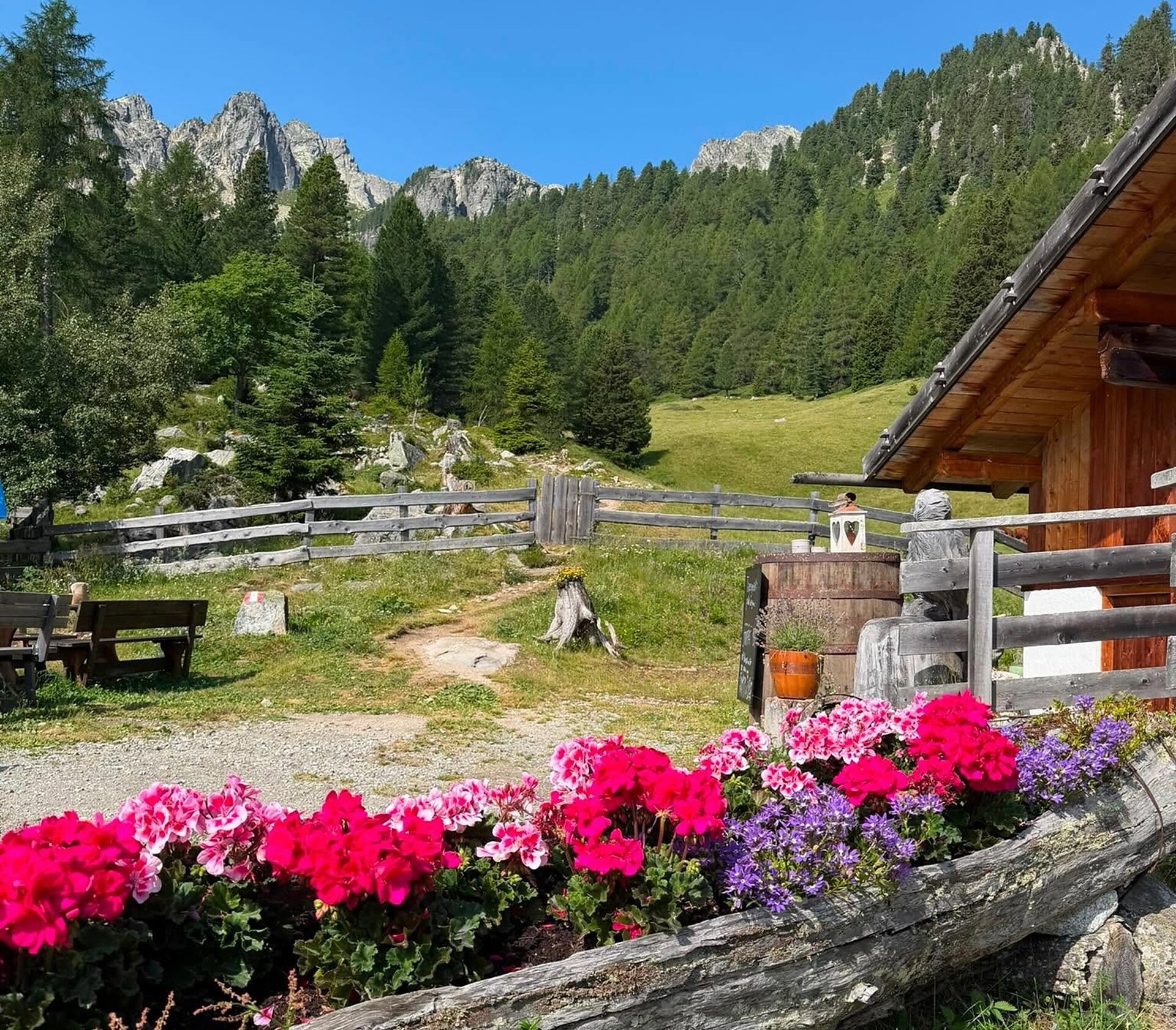 Puntleider Seealm - Sterzing/Vipiteno and environs - #5 - suedtirol.info