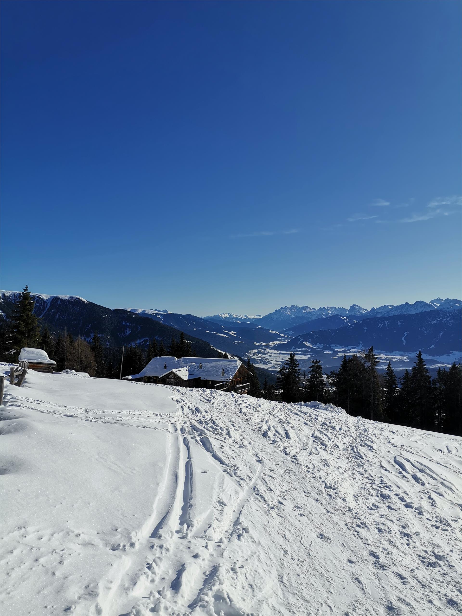 Pertinger Alm Terenten/Terento 7 suedtirol.info