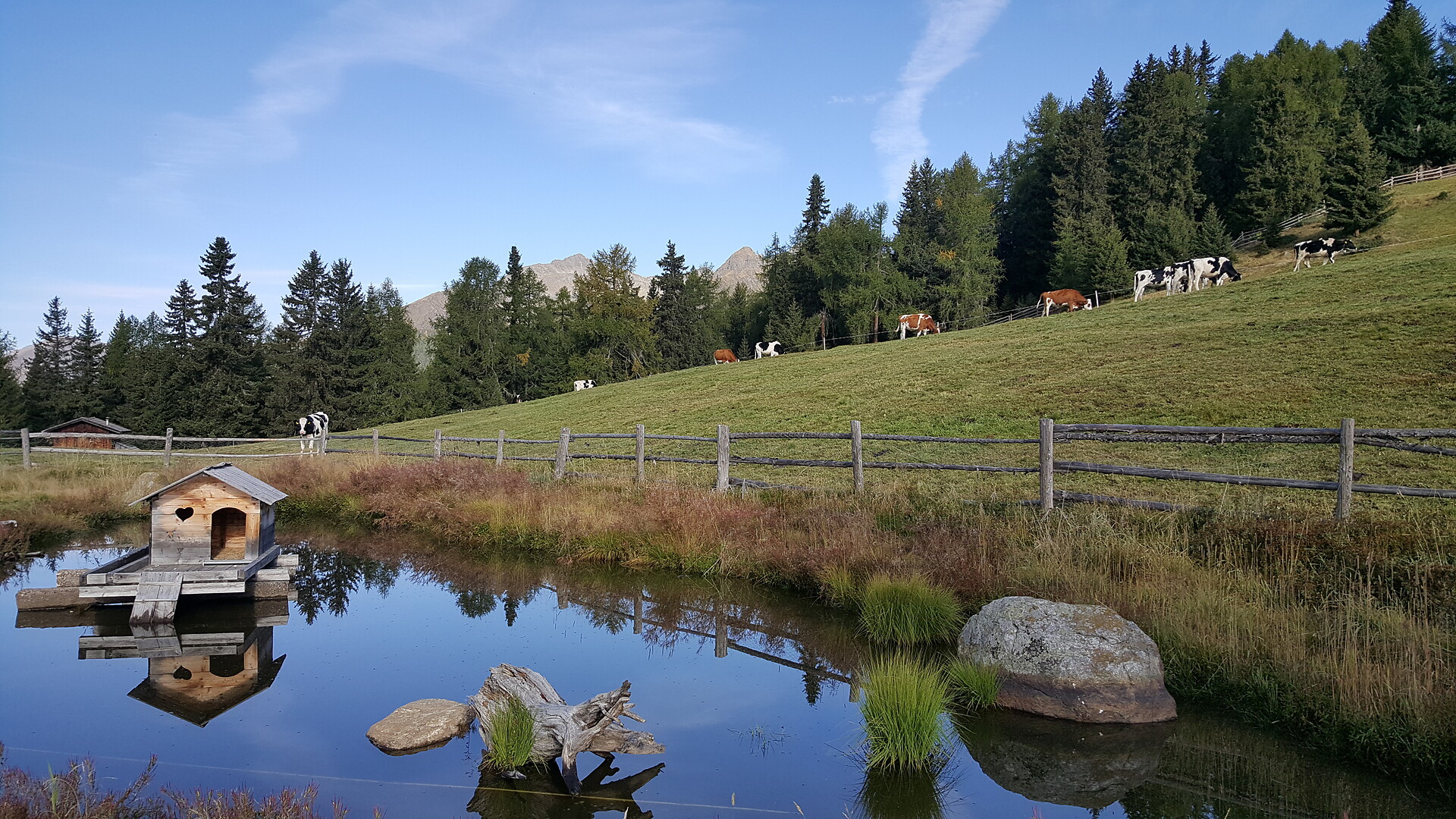 little lake