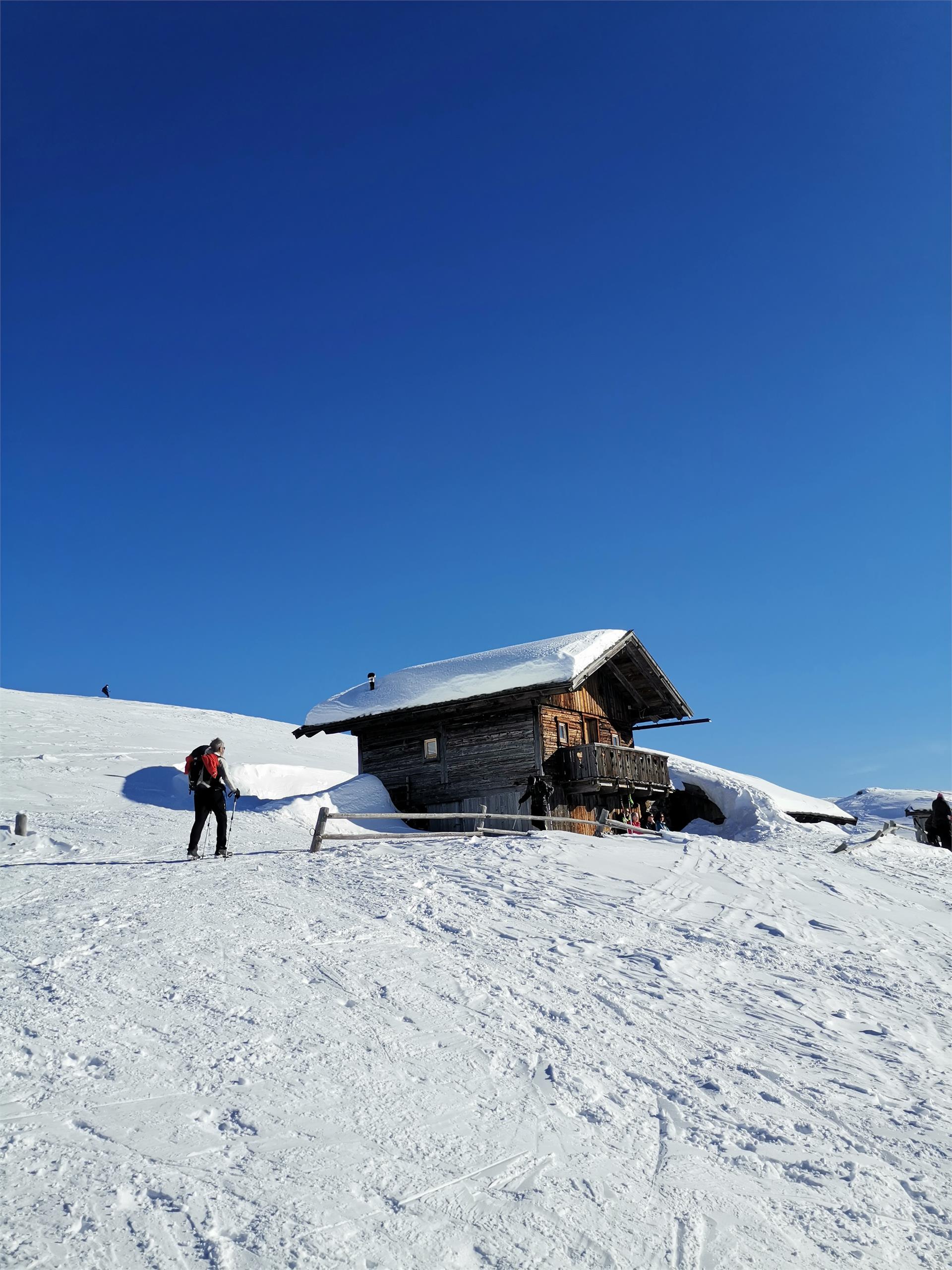 Pertinger Alm Terenten/Terento 8 suedtirol.info