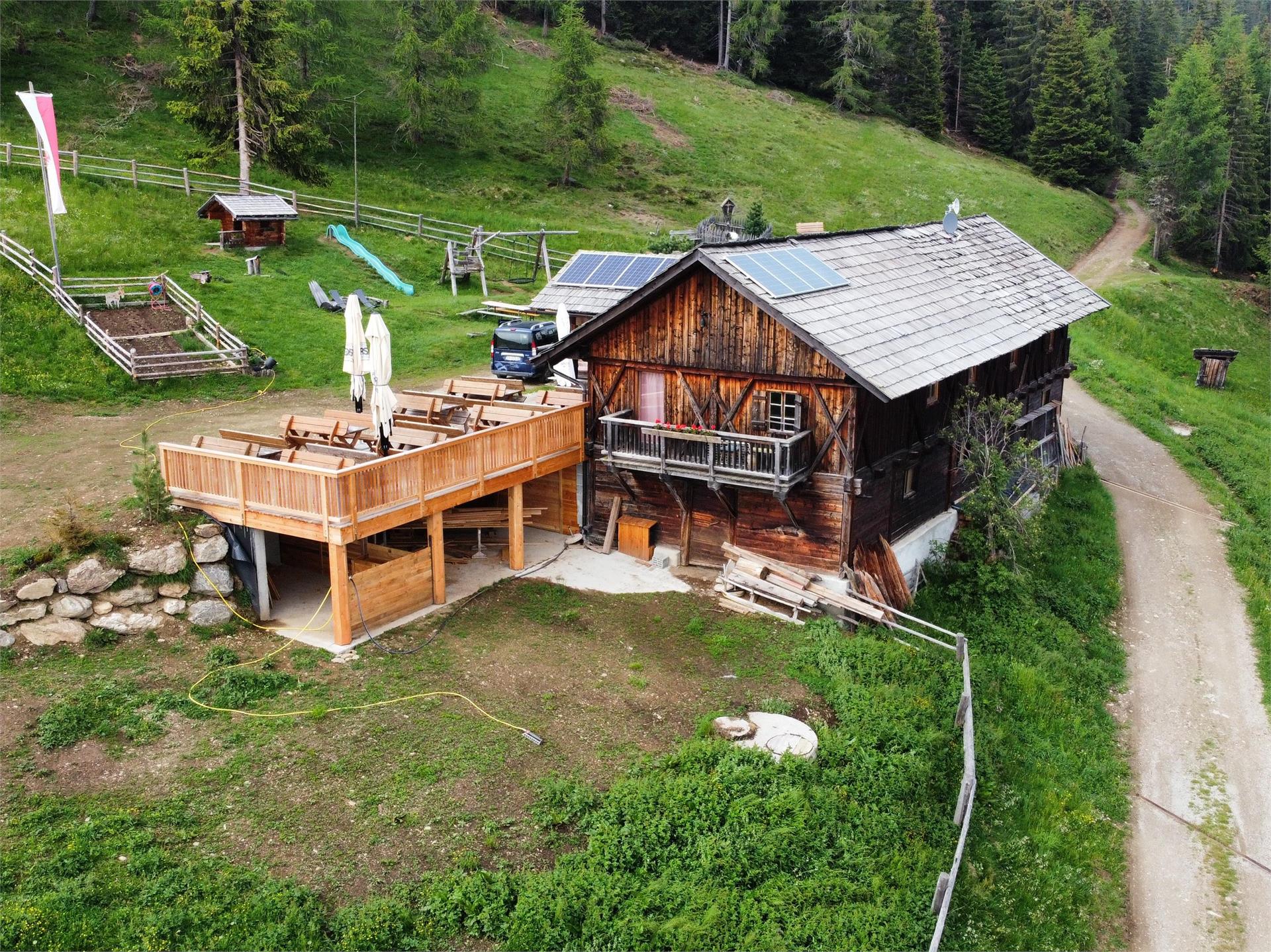 Pertinger Alm Terenten/Terento 1 suedtirol.info