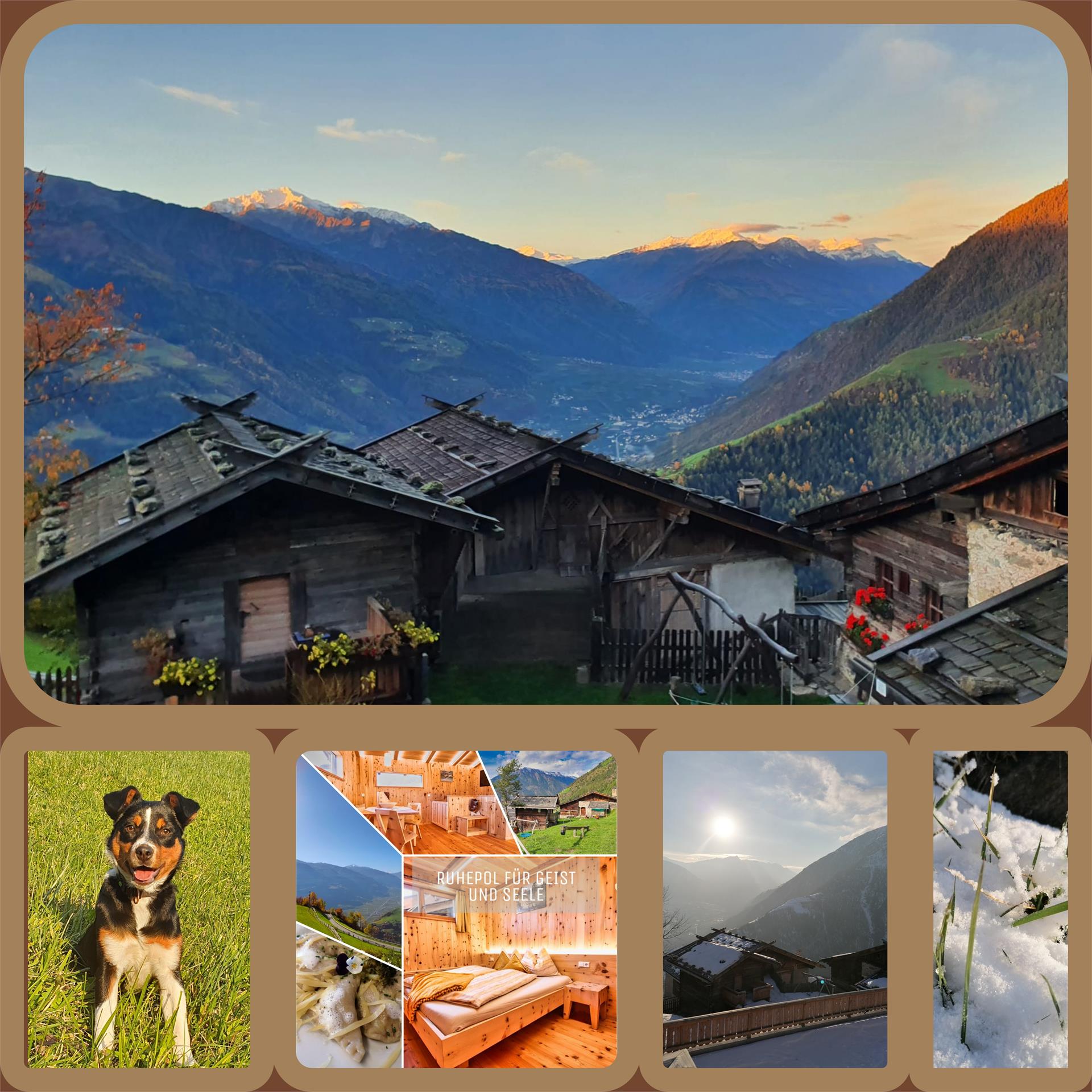 Patleidhof Naturns/Naturno 11 suedtirol.info