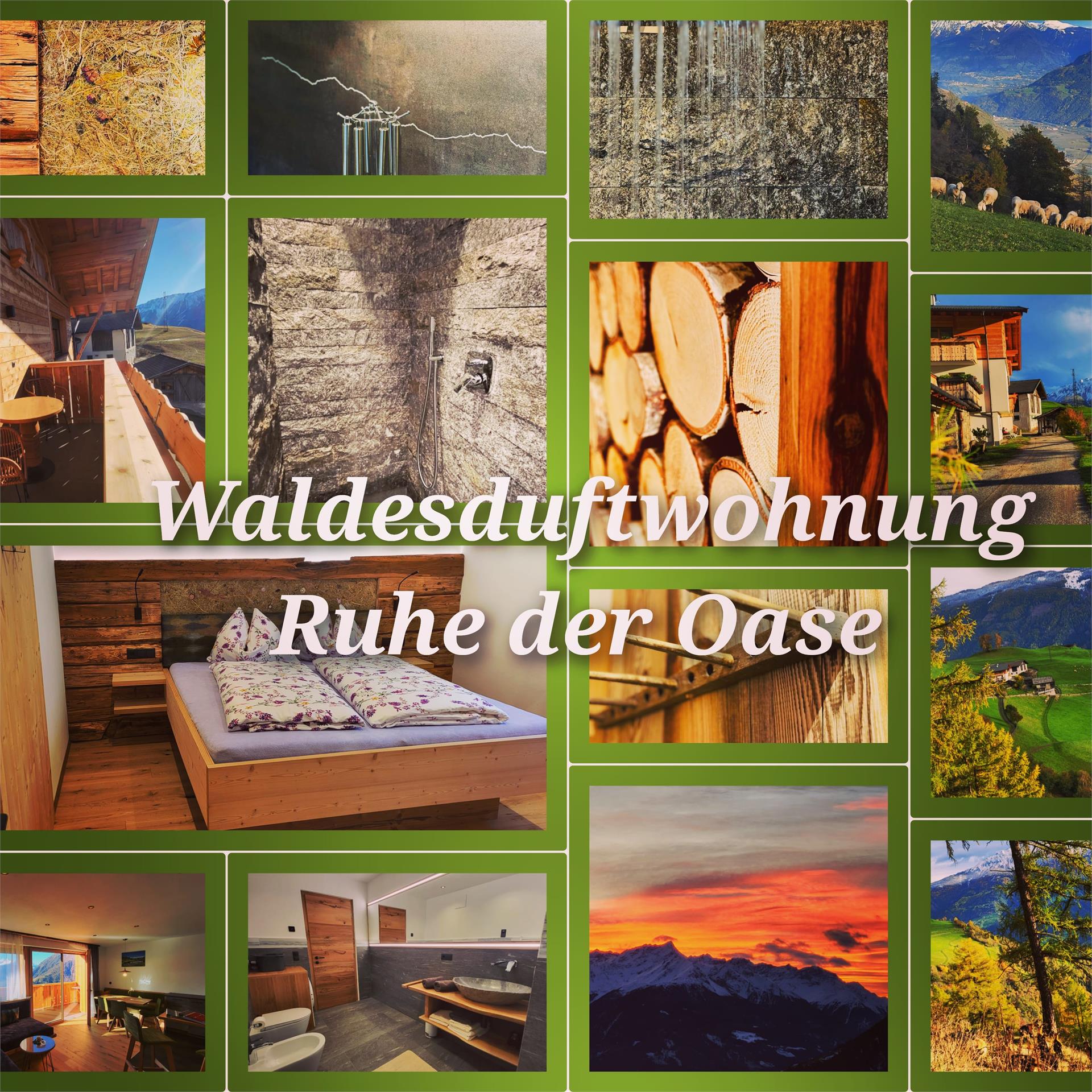 Patleidhof Naturns/Naturno 7 suedtirol.info