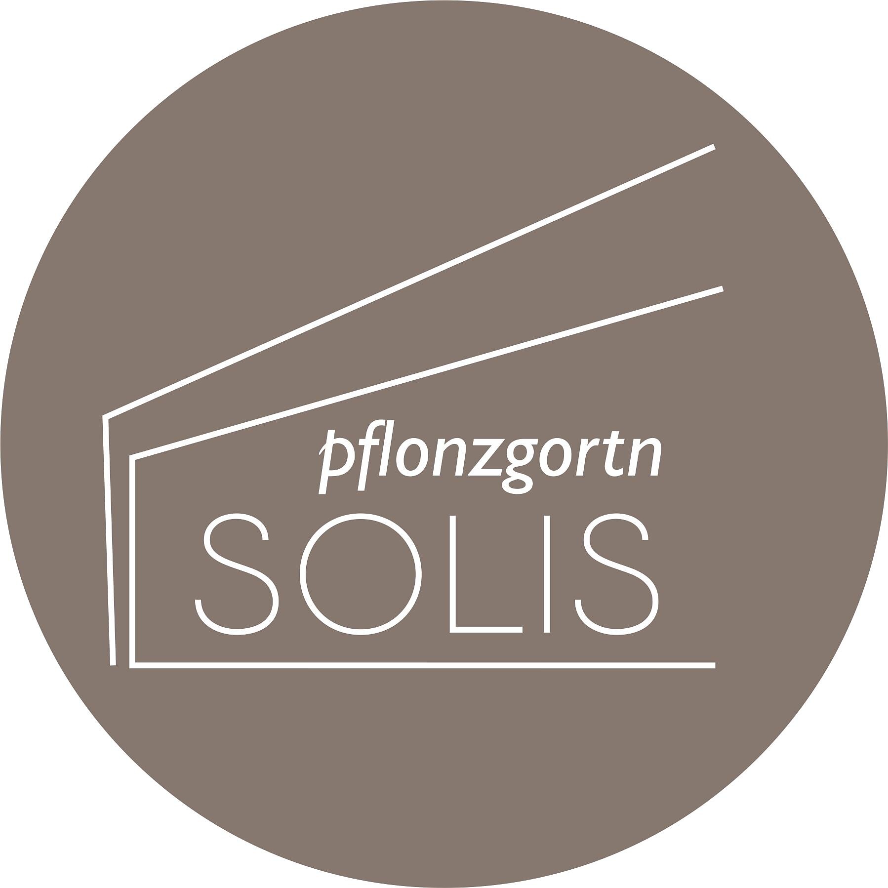 Pflonzgortn Solis
