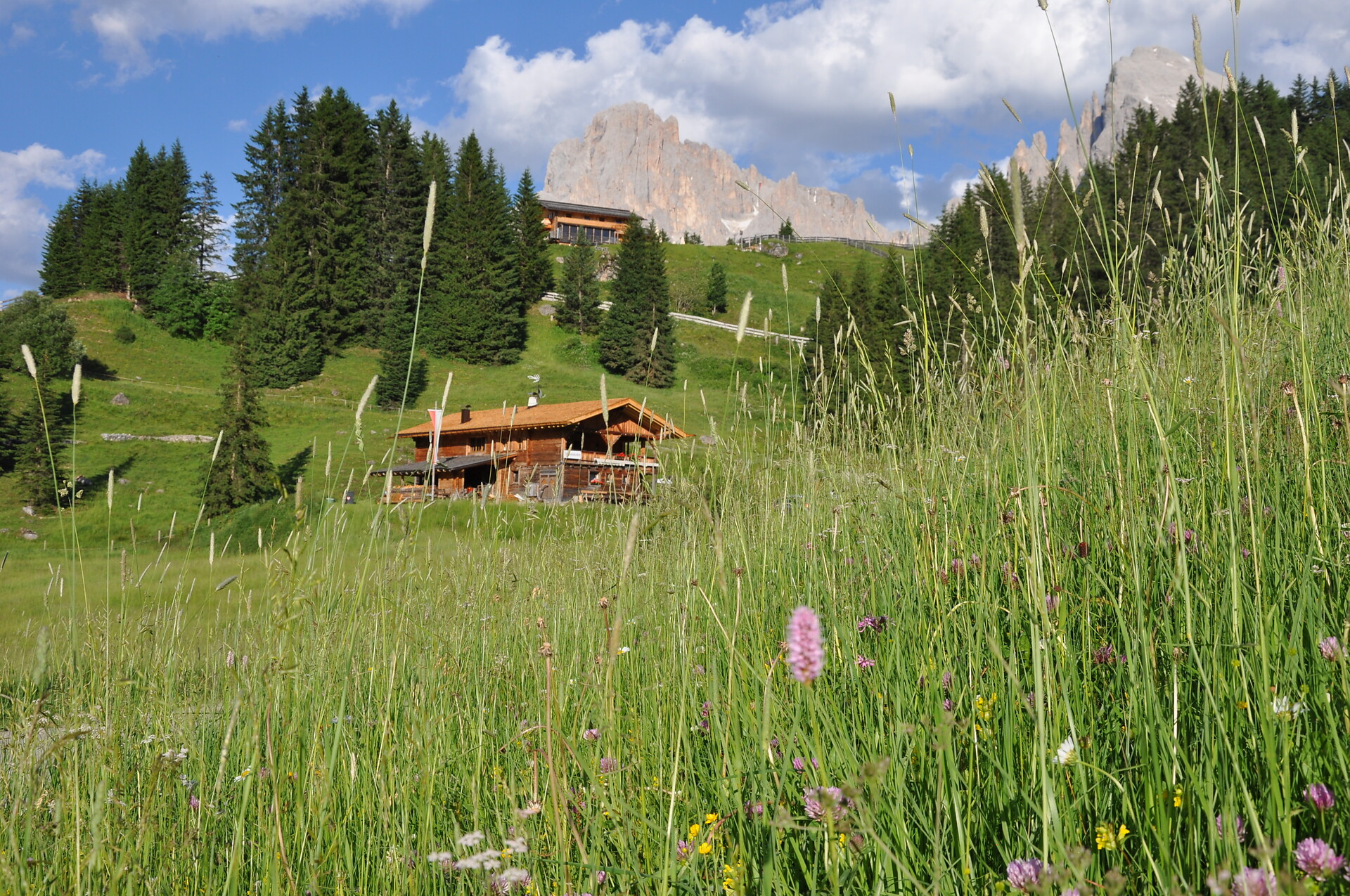 Malga Radauer