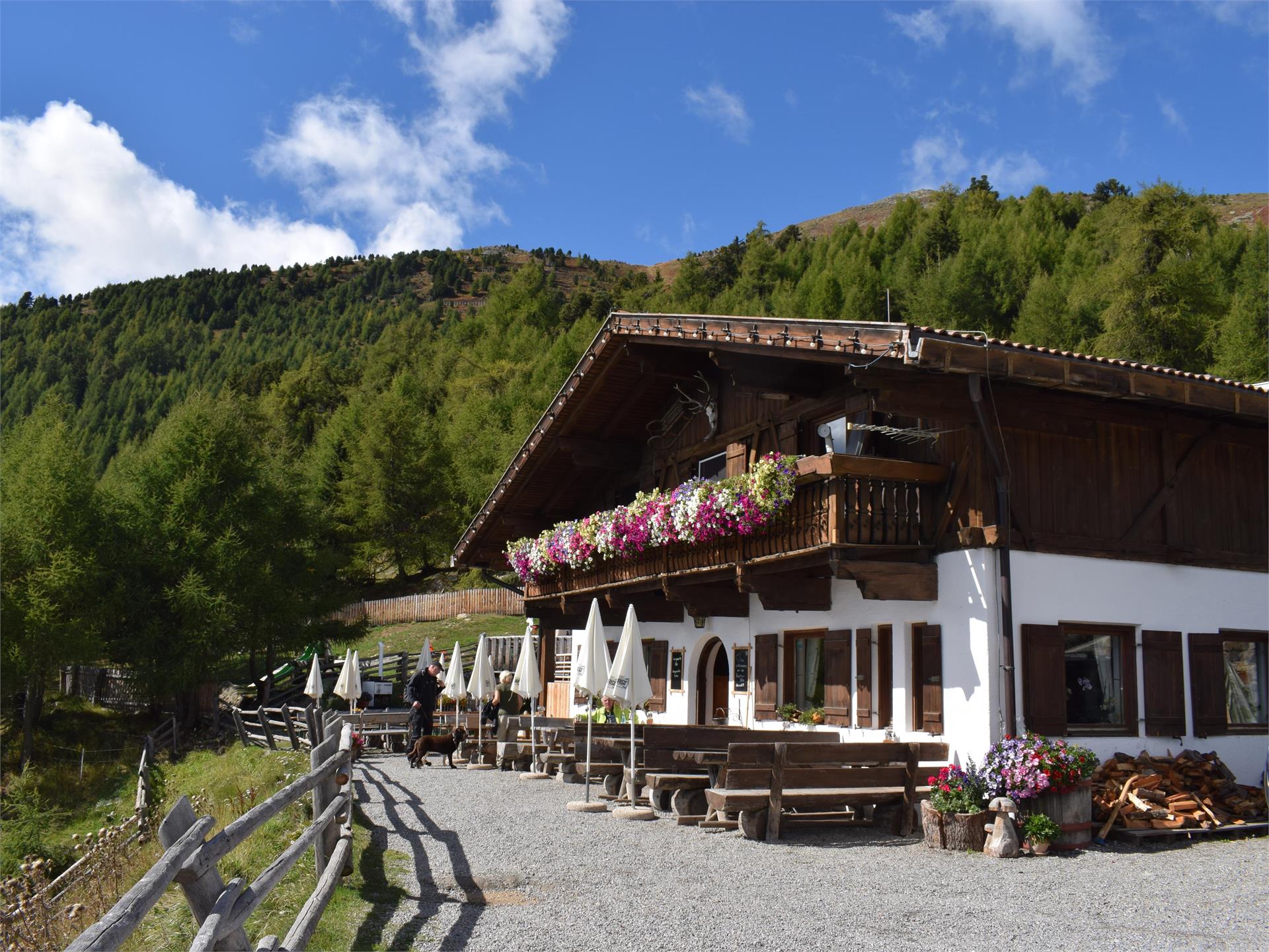 Rescher Alm Graun im Vinschgau 2 suedtirol.info