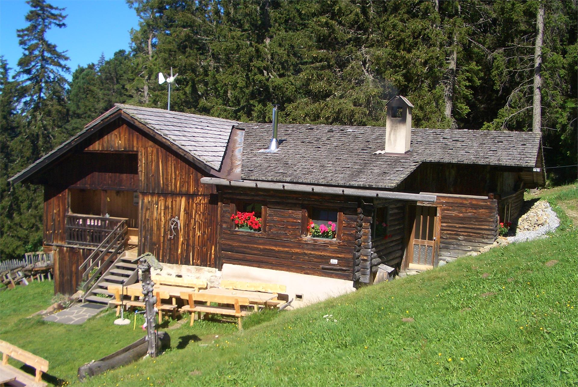 Ramitzler Schwaige Lajen 3 suedtirol.info
