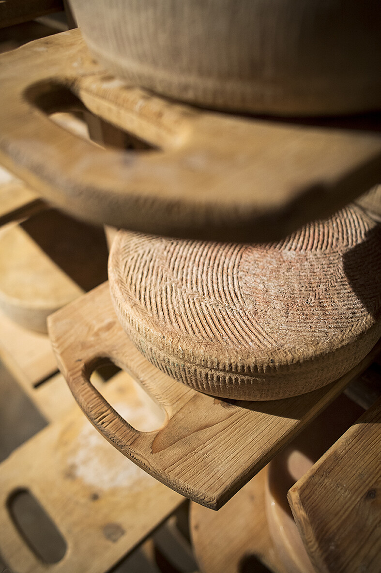 Formaggio della casa