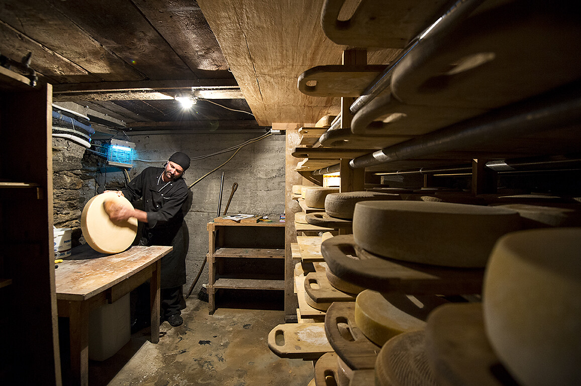 Formaggio della casa