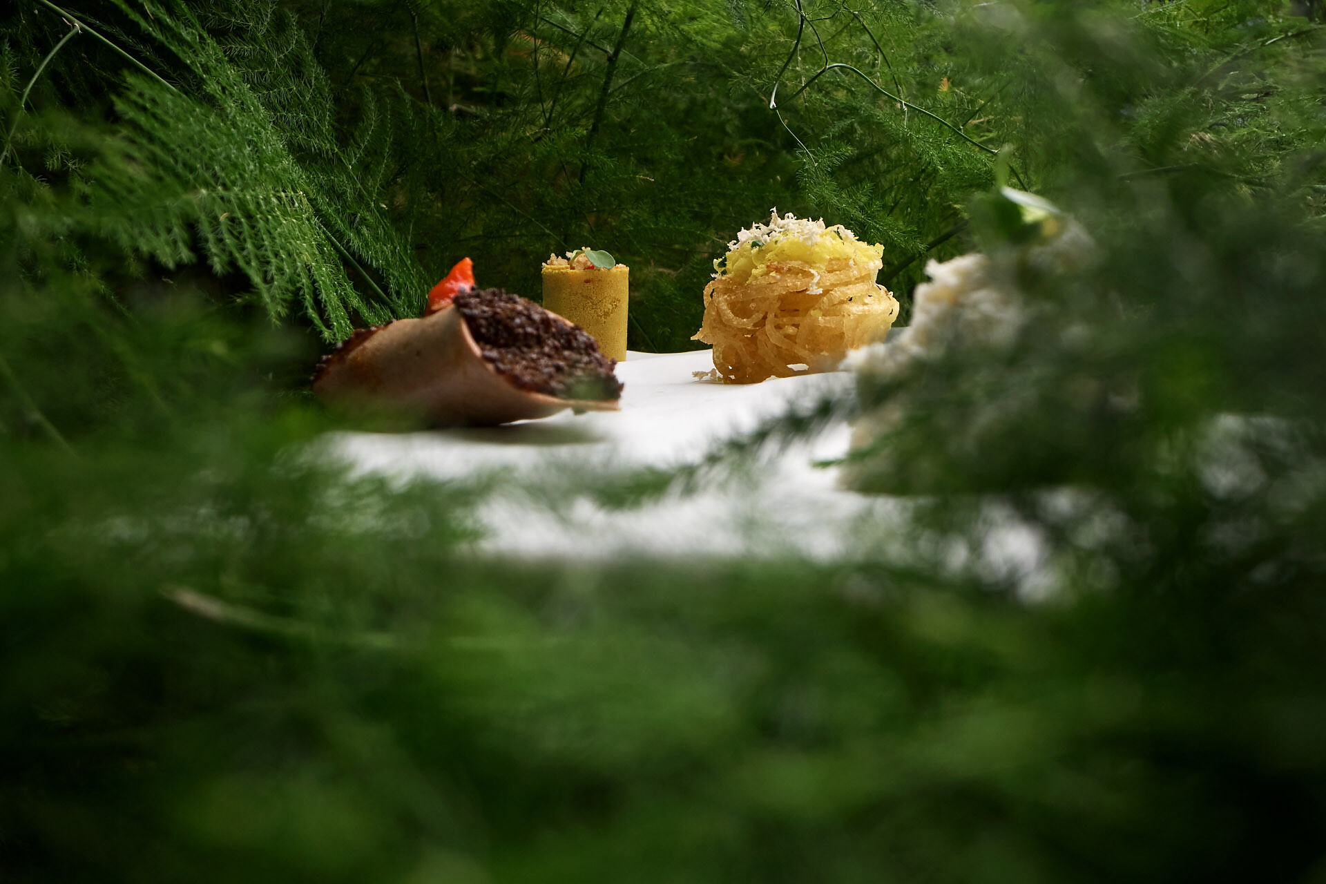 Aperitif canapés