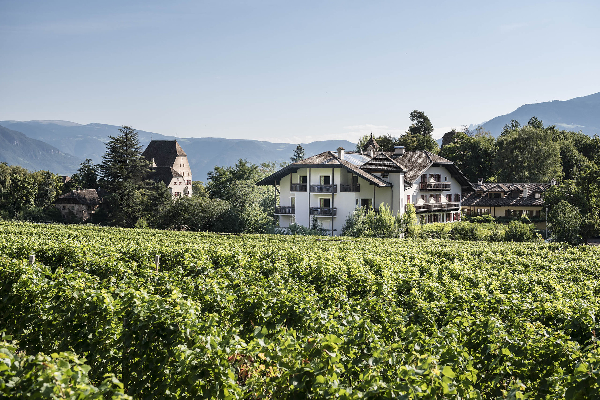 Restaurant Weingut Stroblhof - Südtiroler Weinstraße - #1 - suedtirol.info