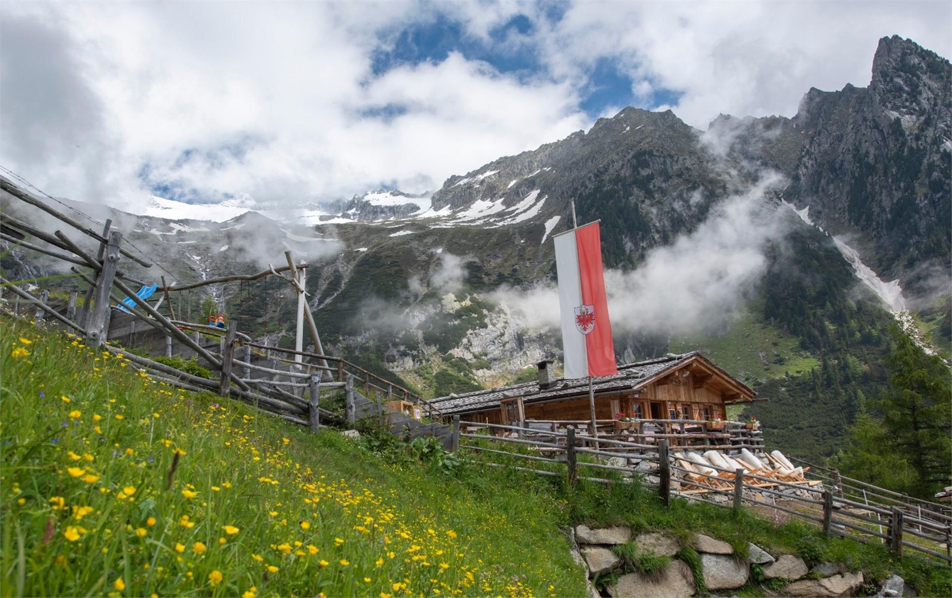 Rußbachalm malga Valle Aurina 1 suedtirol.info
