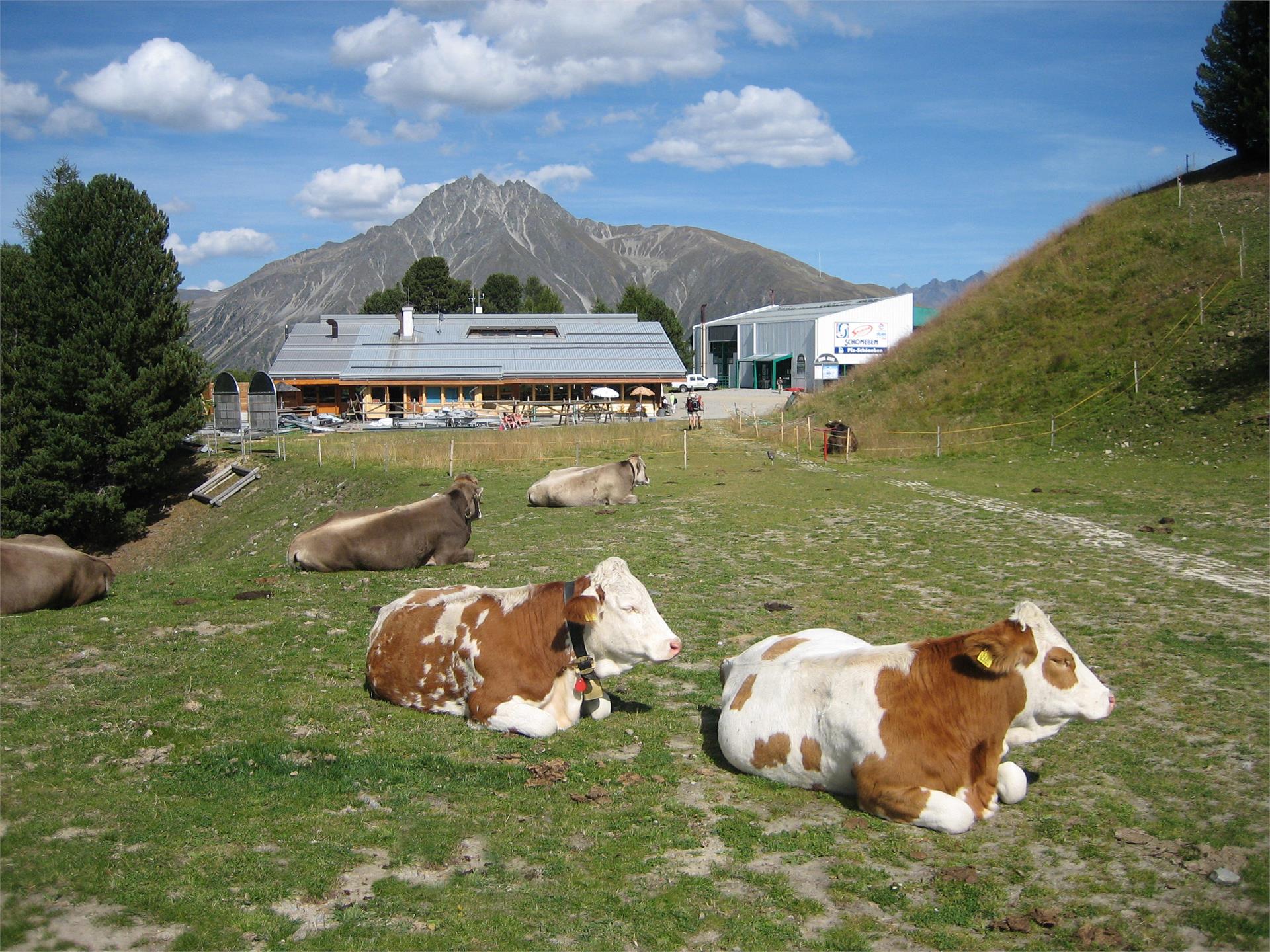 Restaurant Belpiano Graun im Vinschgau/Curon Venosta 3 suedtirol.info