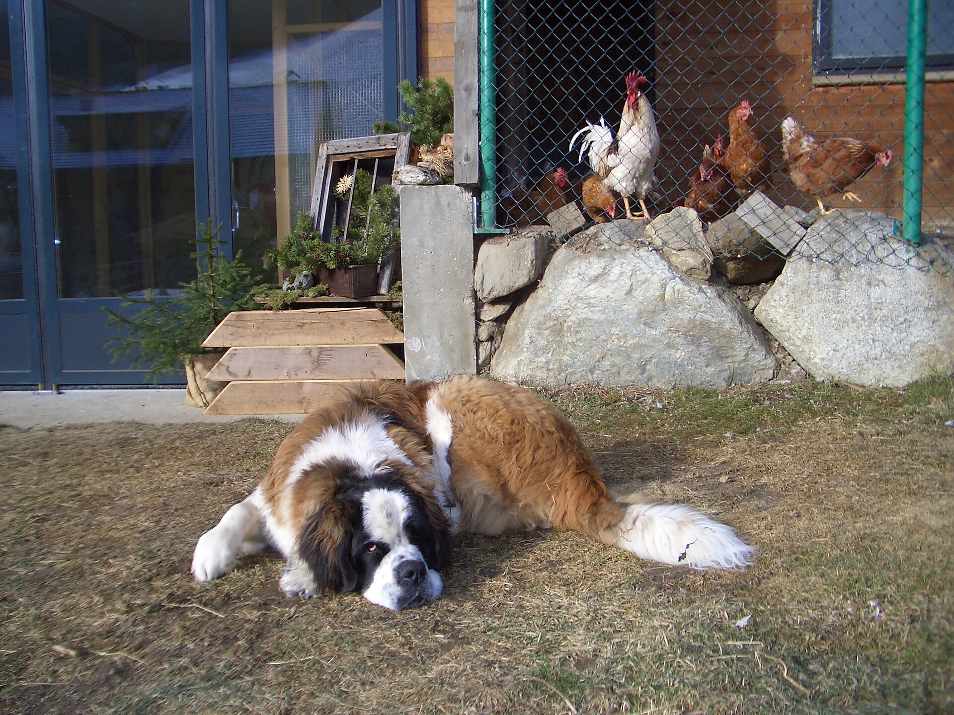 Demonstration farm