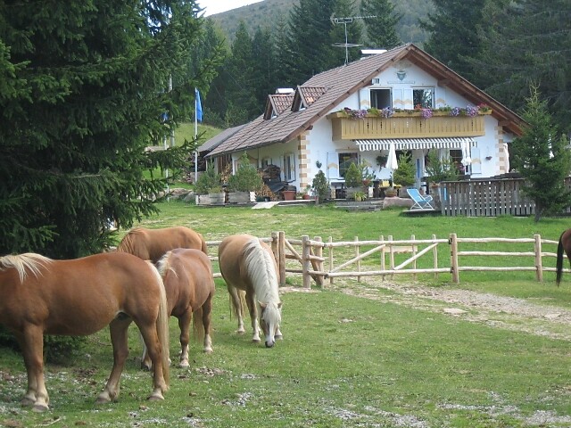 Rotwandhütte - Meran und Umgebung - #1 - suedtirol.info