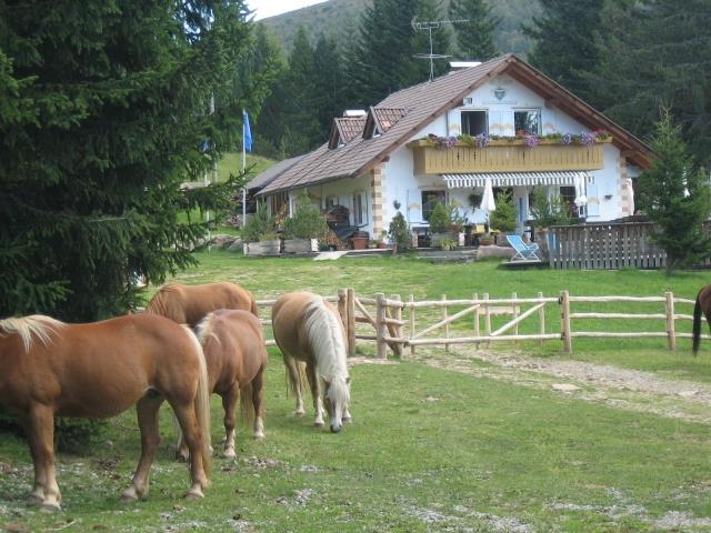 Rotwandhütte Hafling 1 suedtirol.info