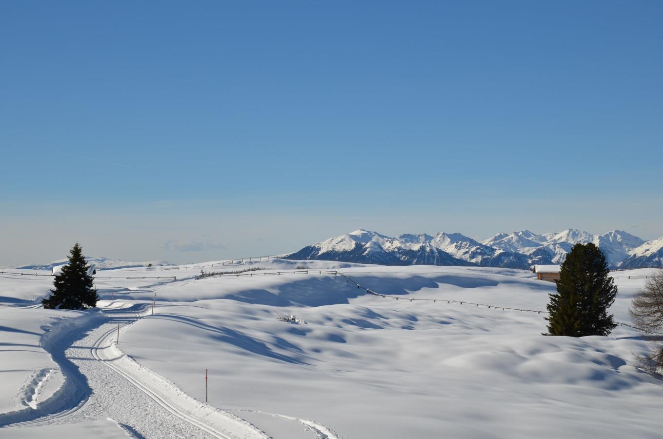 Rastnerhütte Rodeneck 8 suedtirol.info