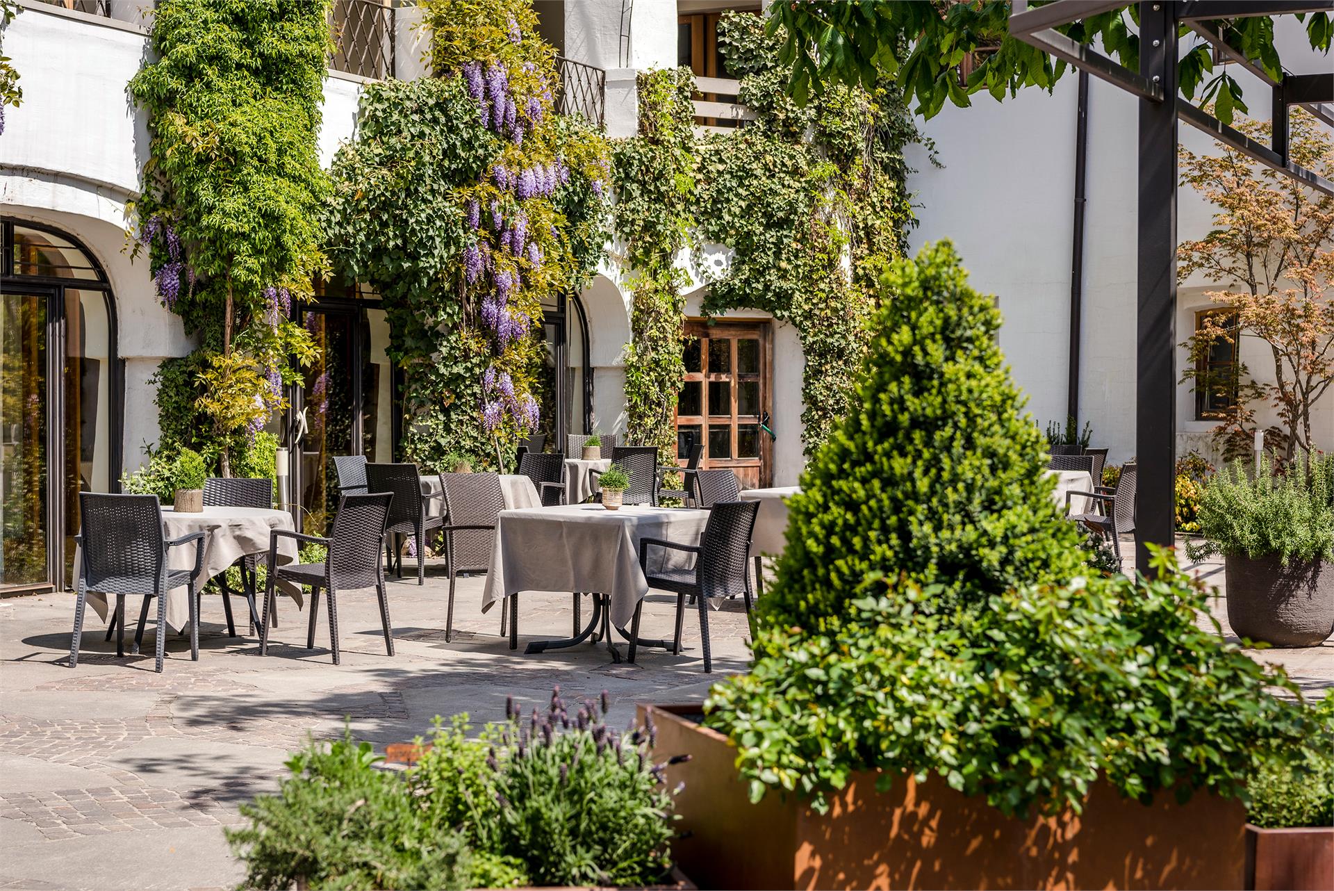 Restaurant THEDL Partschins/Parcines 5 suedtirol.info