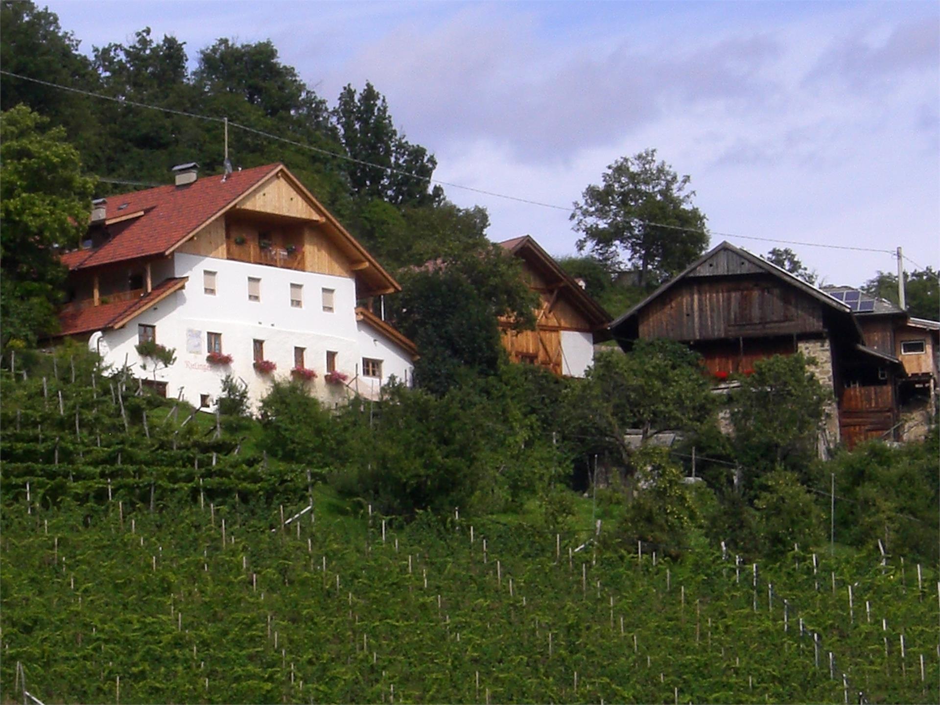 Rielingerhof Renon 1 suedtirol.info